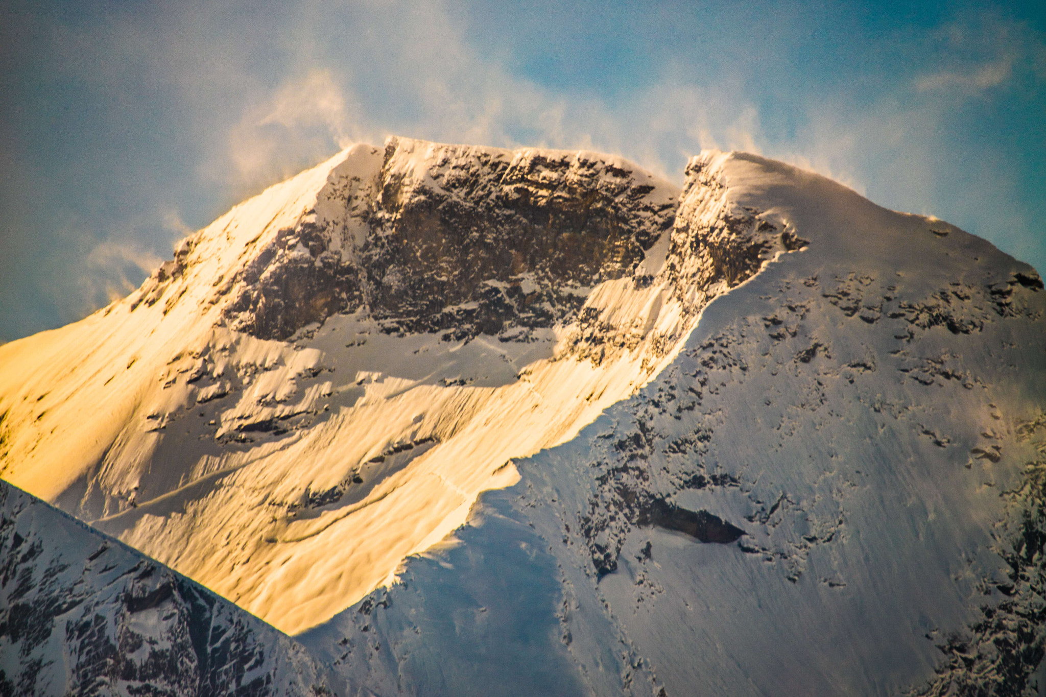 Tamron SP 150-600mm F5-6.3 Di VC USD sample photo. Morning sun photography