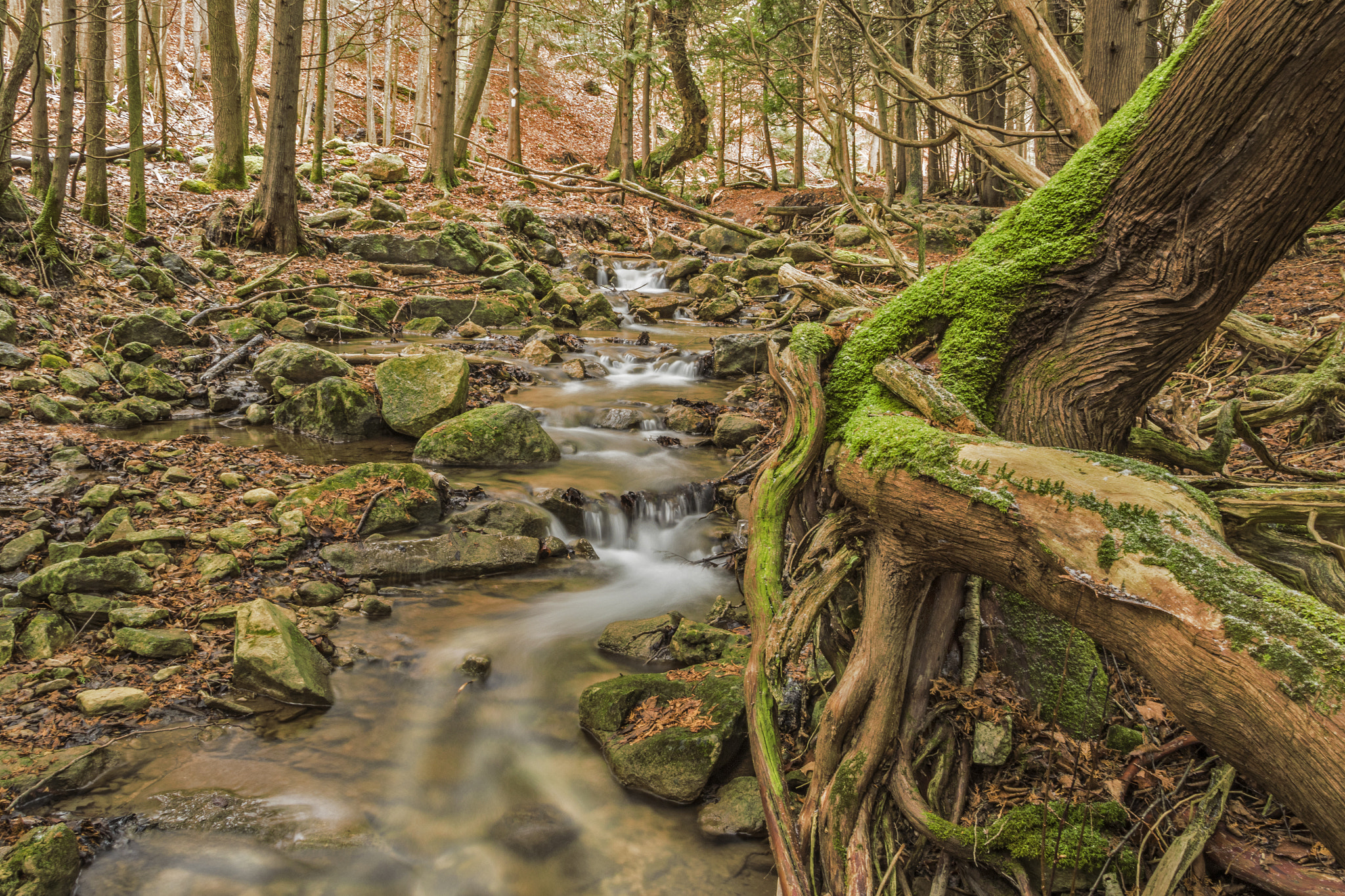 Sigma 18-200mm f/3.5-6.3 DC OS sample photo. Pretty river photography