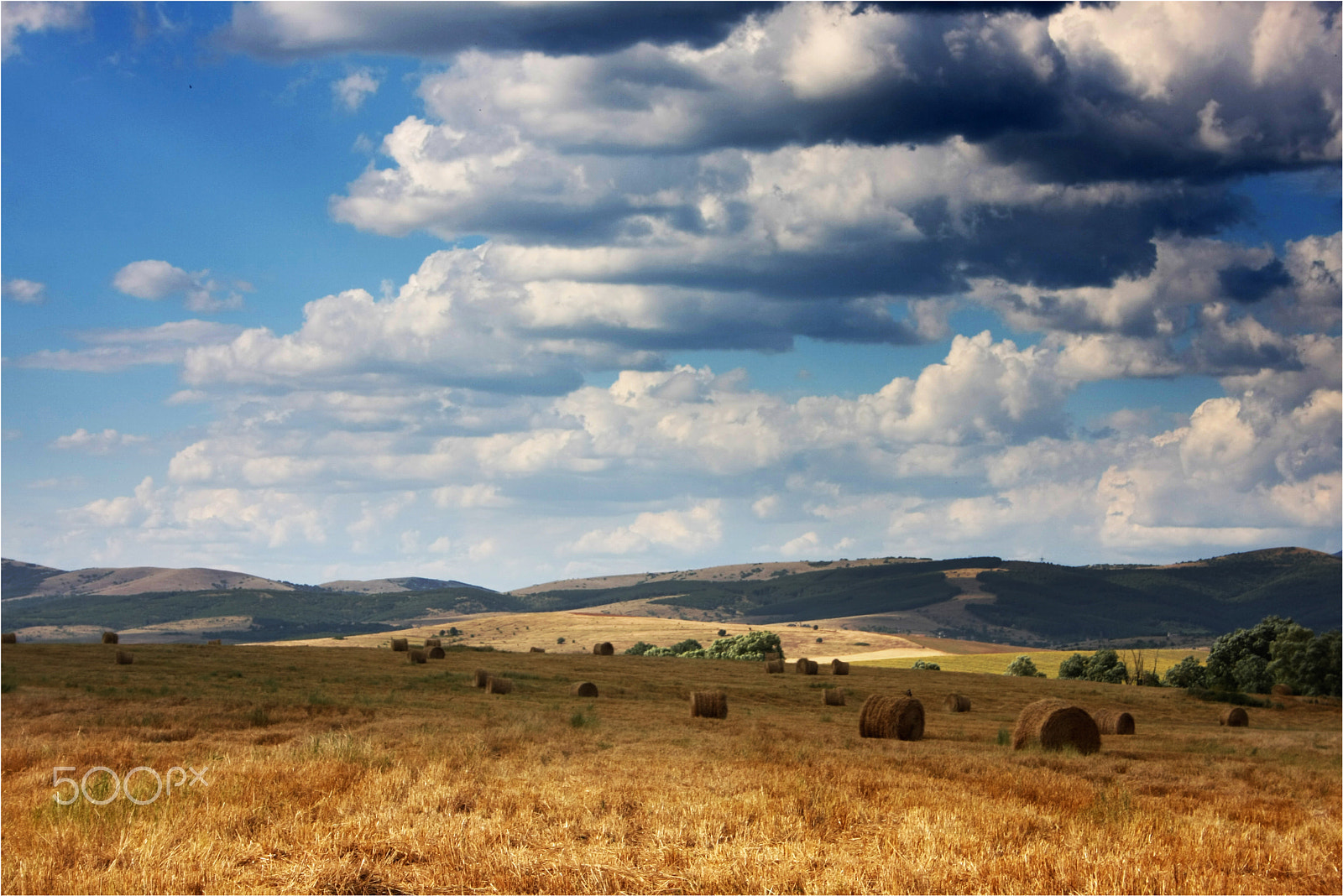 Canon EF-S 18-55mm F3.5-5.6 sample photo. Field photography