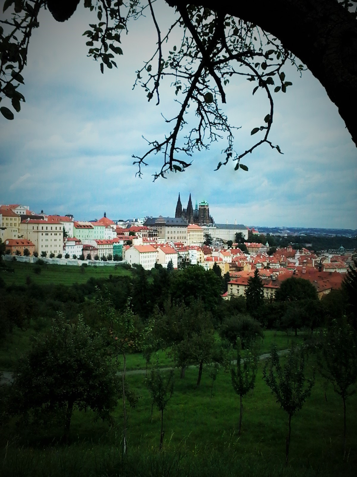 Samsung Galaxy Star sample photo. Prague photography