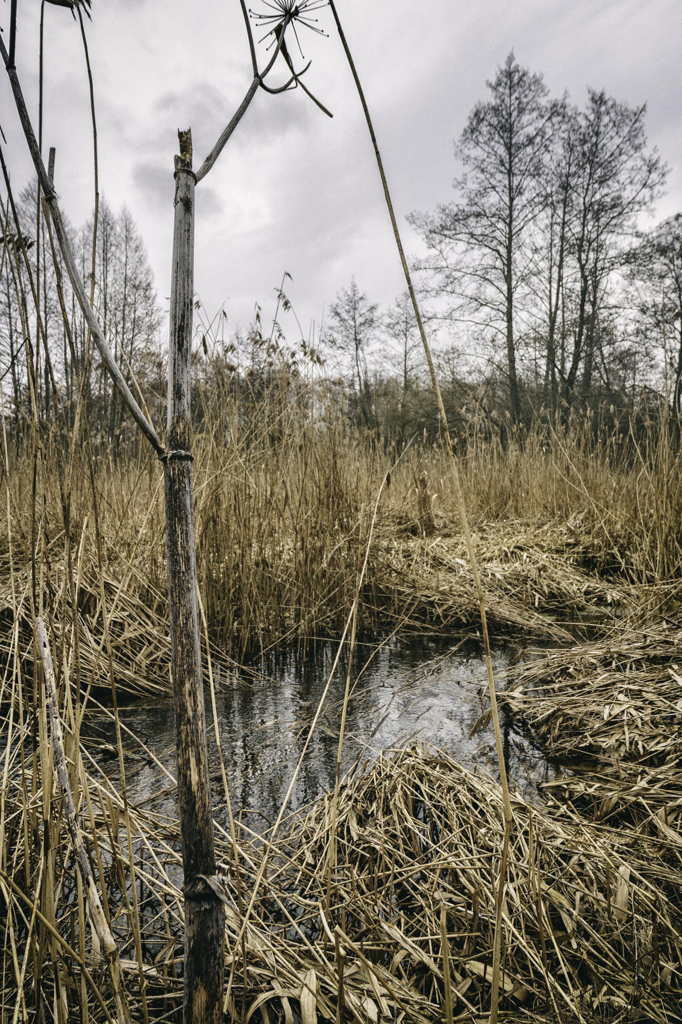 Canon EF-S 10-18mm F4.5–5.6 IS STM sample photo. Creek photography