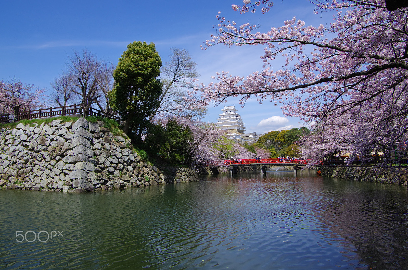 Pentax smc DA 16-45mm F4 ED AL sample photo. Castle and cherry photography