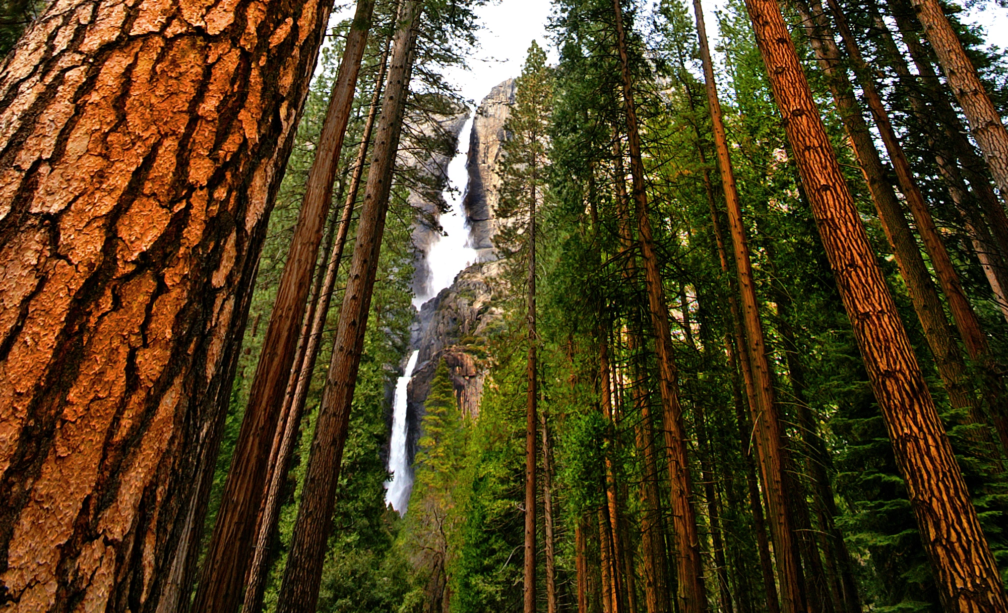 KONICA MINOLTA MAXXUM 5D sample photo. Pillars of the earth photography