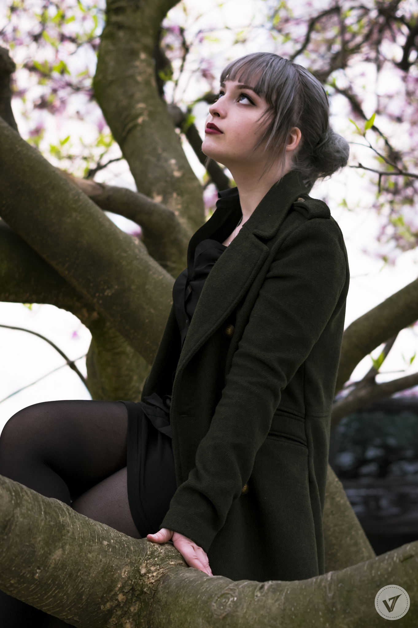 Pentax K-3 II + Pentax smc DA 50mm F1.8 sample photo. Magnolia tree photography