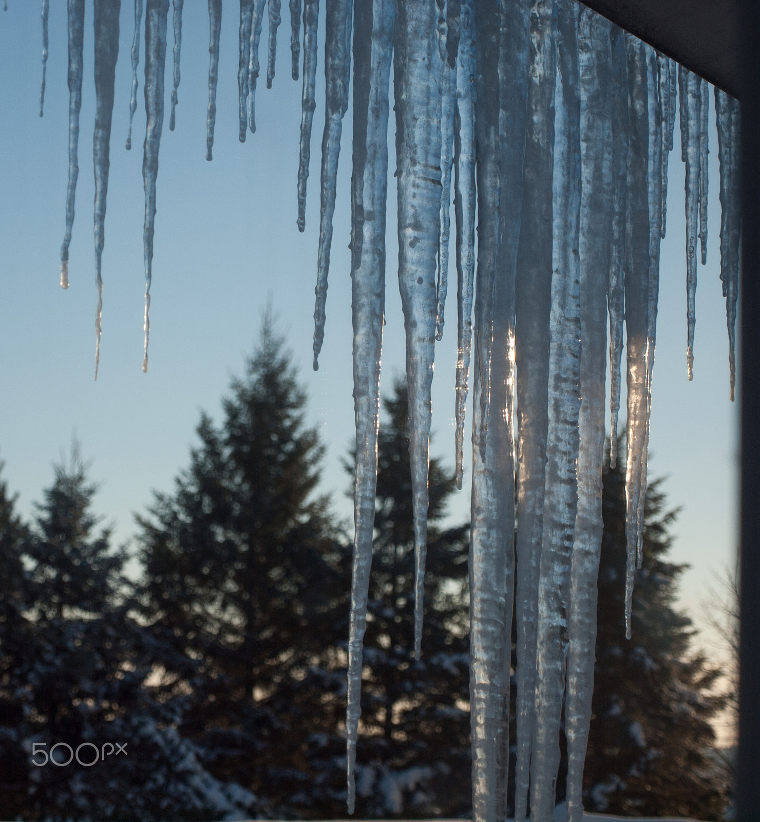 Olympus E-620 (EVOLT E-620) + OLYMPUS 14-42mm Lens sample photo. Ice on the roof photography
