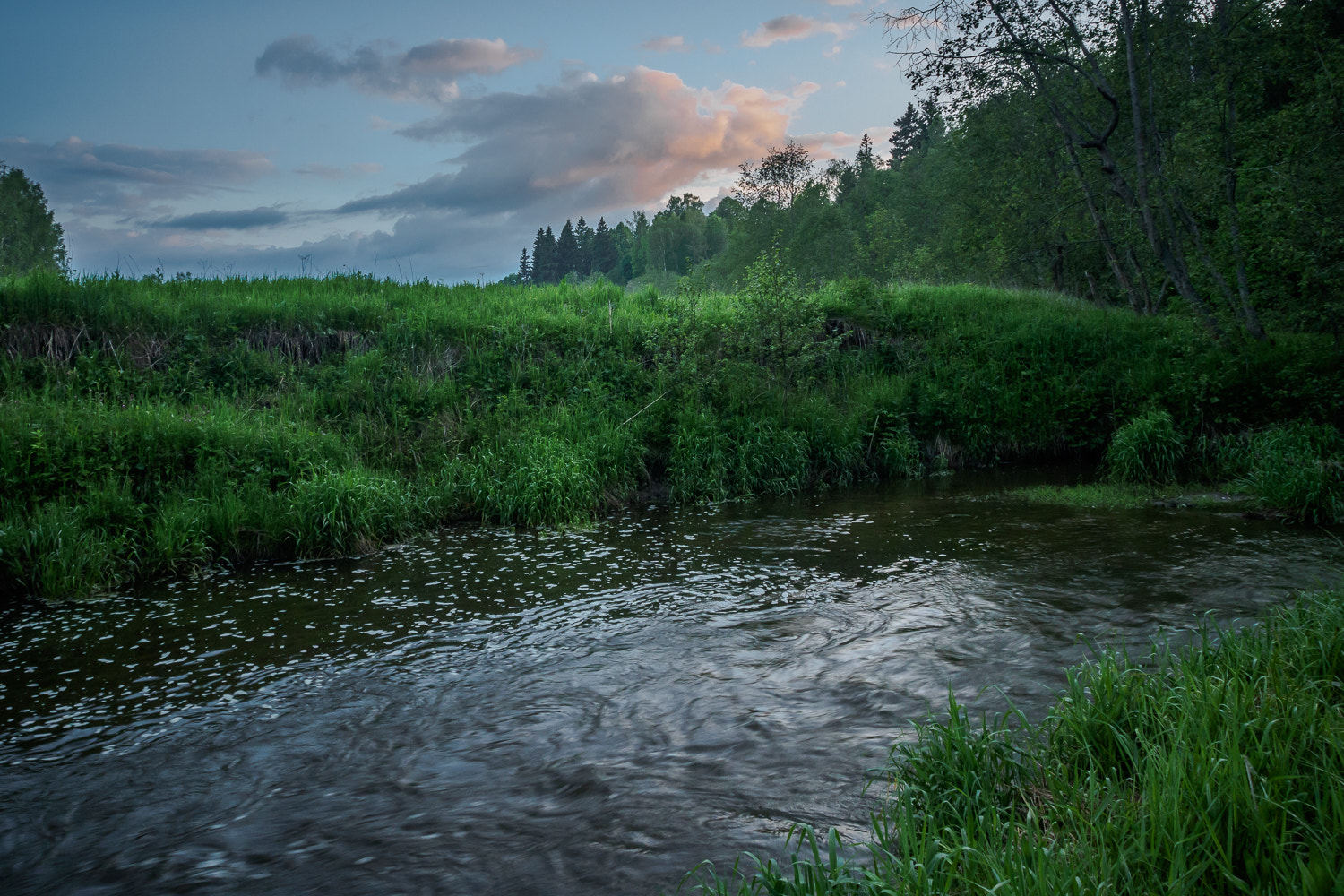 Olympus OM-D E-M10 + OLYMPUS M.12-50mm F3.5-6.3 sample photo. Spring evening photography