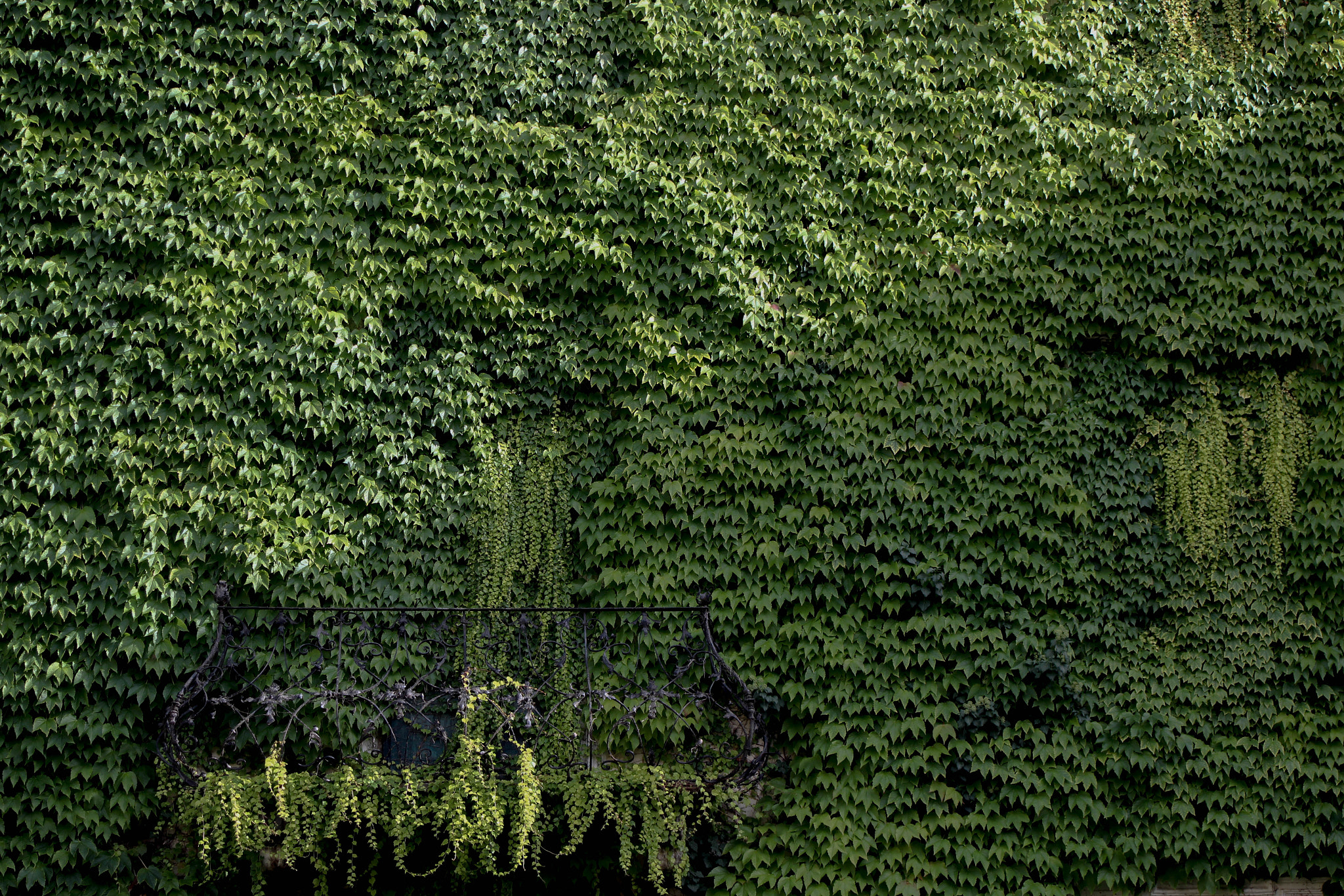 Canon EF 28-80mm f/3.5-5.6 USM sample photo. Hidden house photography