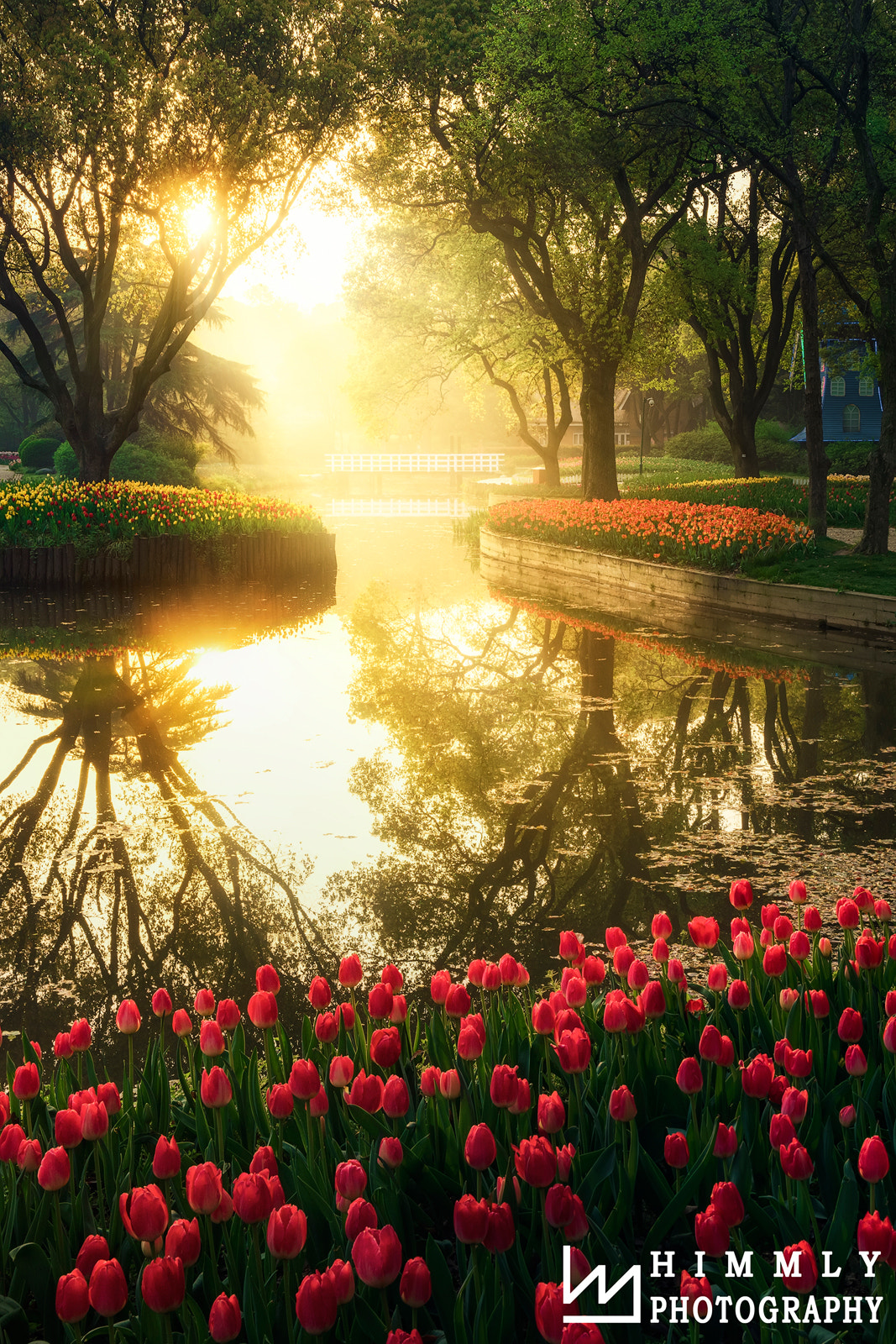 Saumsun NX 16-50mm F2-2.8 S ED OIS sample photo. The color of morning photography