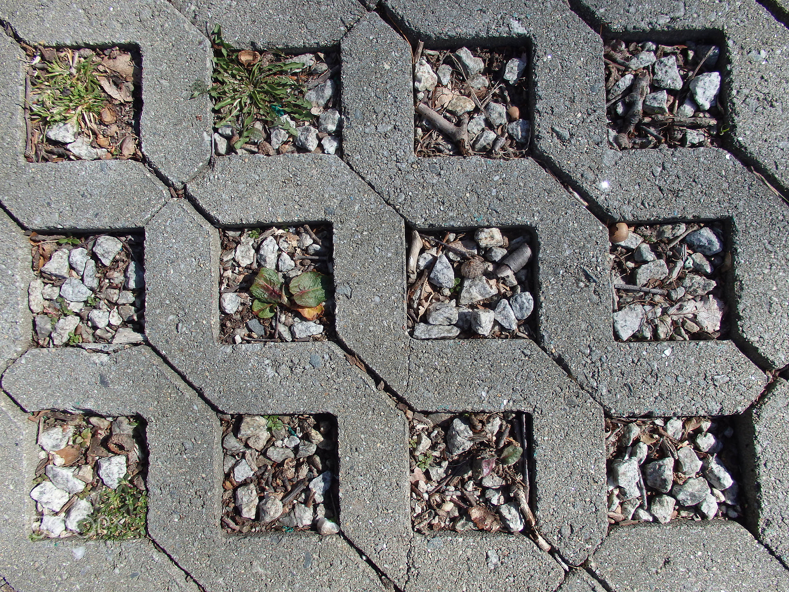 Olympus SH-60 sample photo. Grid walkway photography