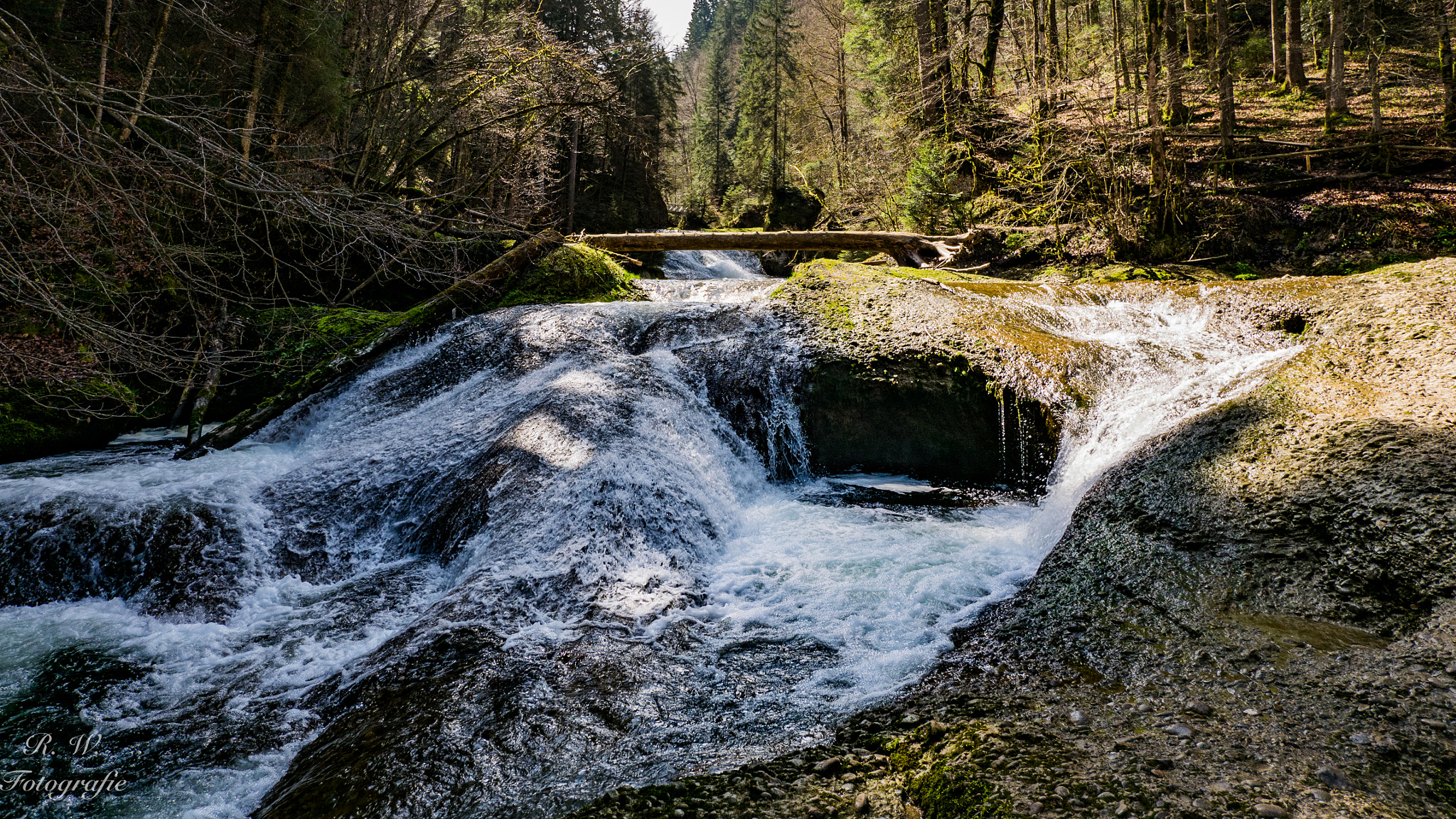 Panasonic Lumix DMC-GM1 + Panasonic Lumix G Vario 7-14mm F4 ASPH sample photo. Wandern am argen beim eistobel photography