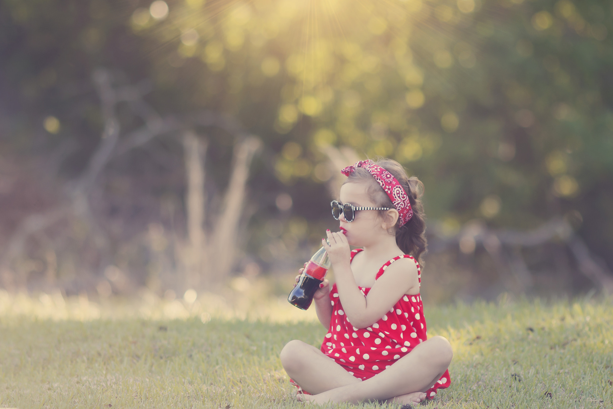 Canon EOS 70D + Canon EF 200mm F2.8L II USM sample photo. Copy photography
