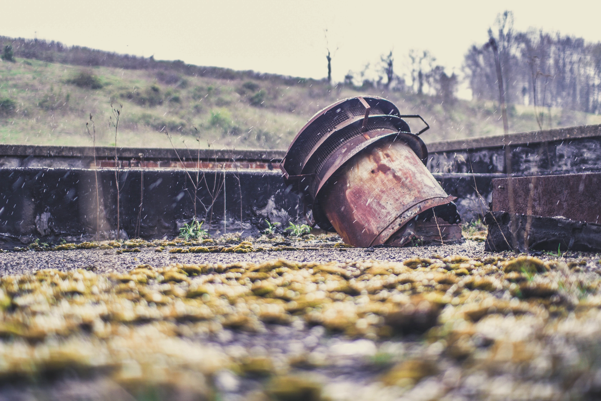 Sigma 30mm F1.4 EX DC HSM sample photo. Mill photography