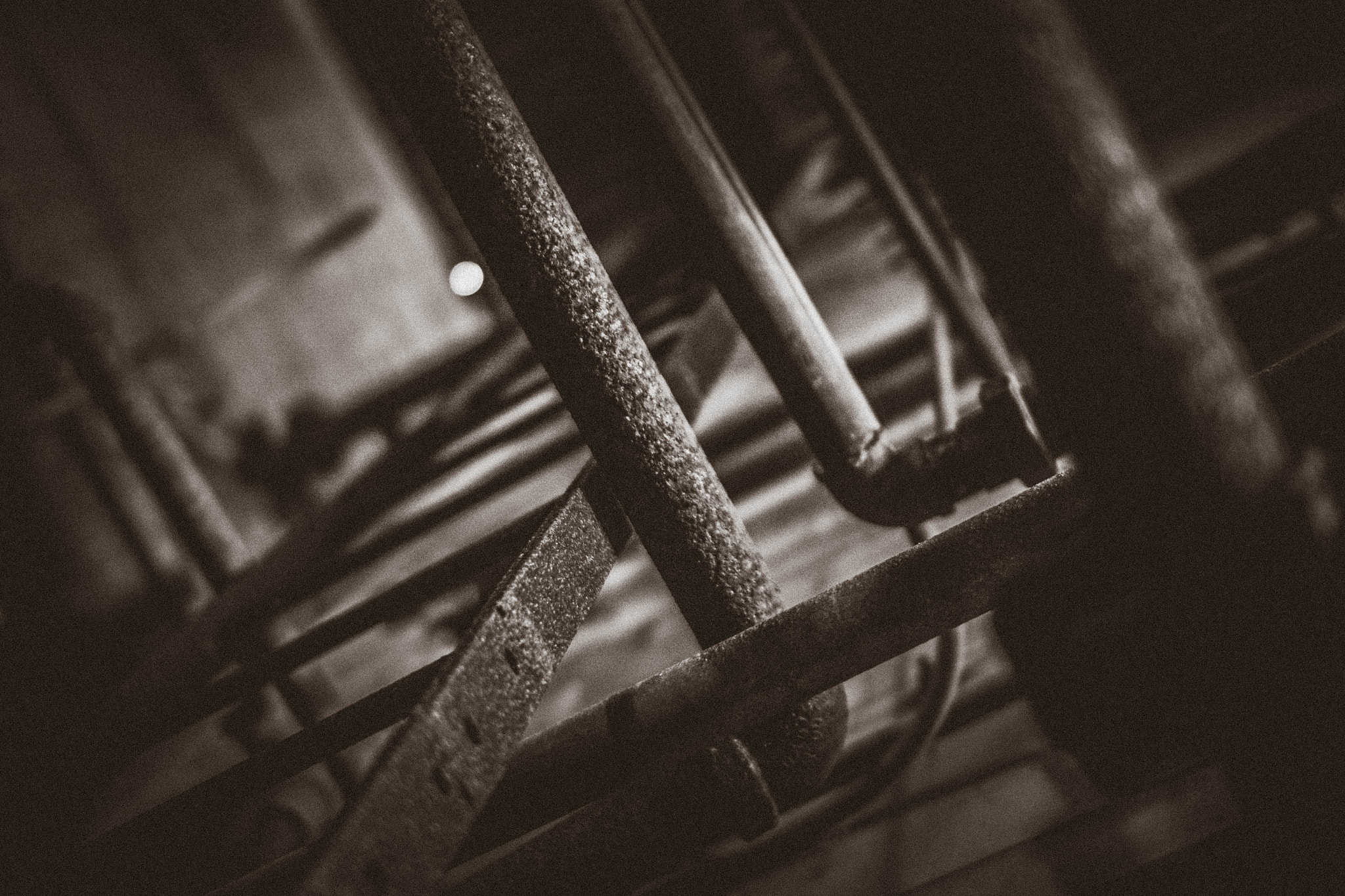 Sigma 30mm F1.4 EX DC HSM sample photo. Mill photography