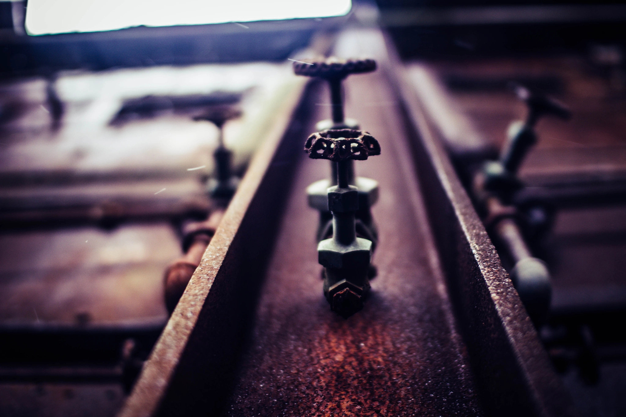Sigma 30mm F1.4 EX DC HSM sample photo. Mill photography