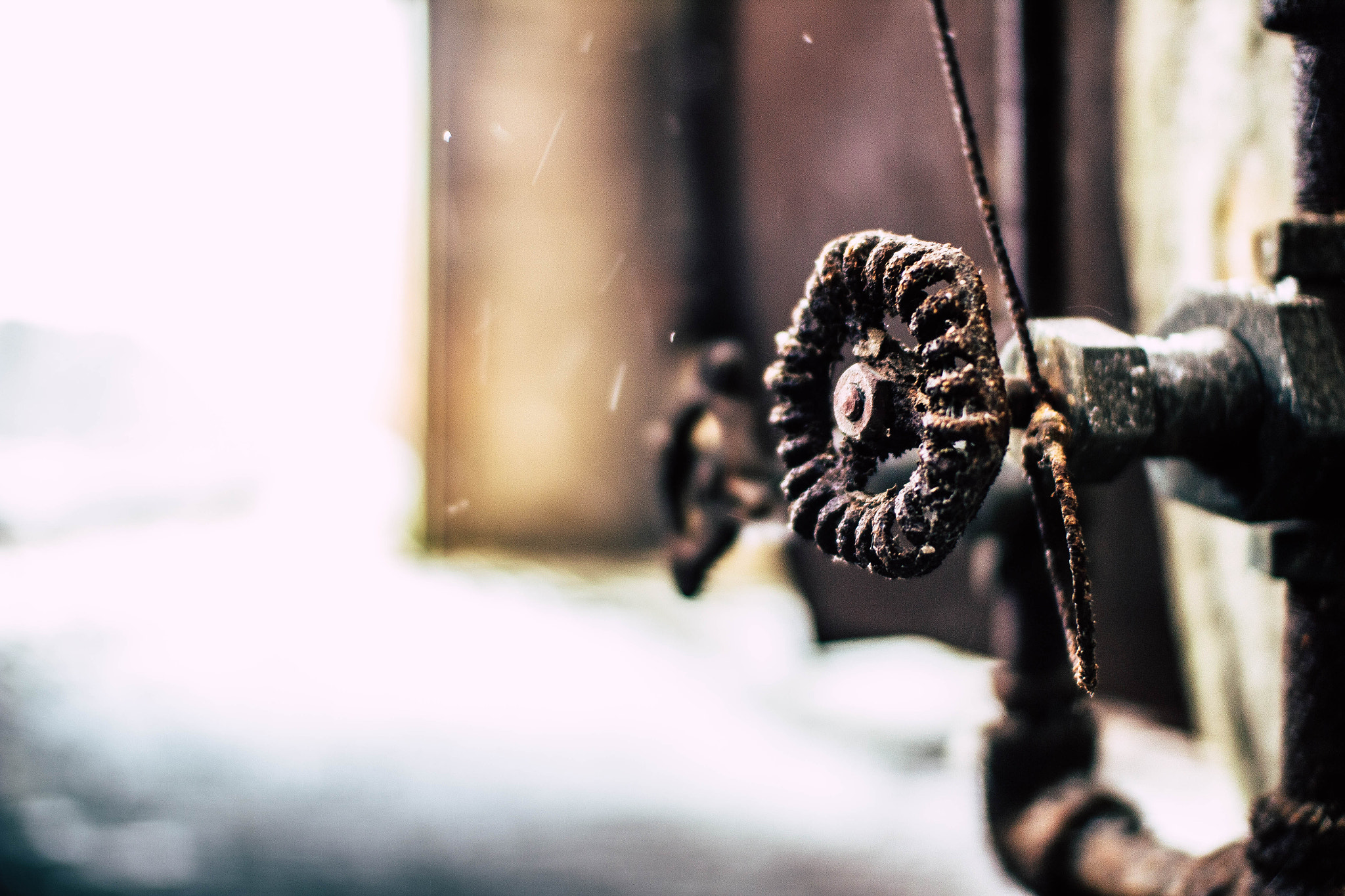Sigma 30mm F1.4 EX DC HSM sample photo. Mill photography