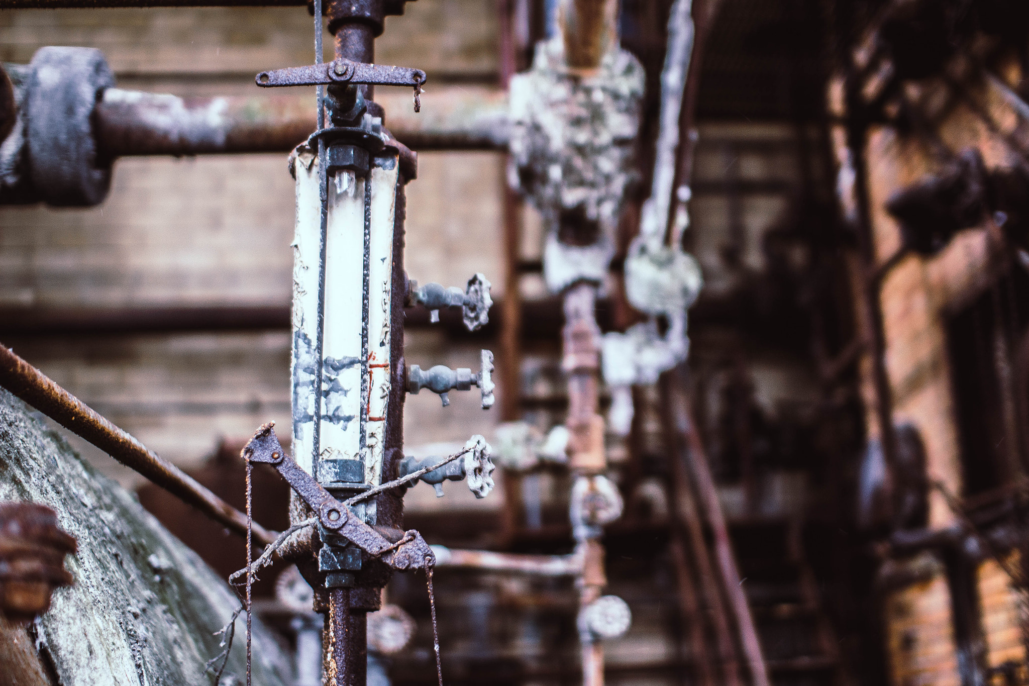 Sigma 30mm F1.4 EX DC HSM sample photo. Mill photography