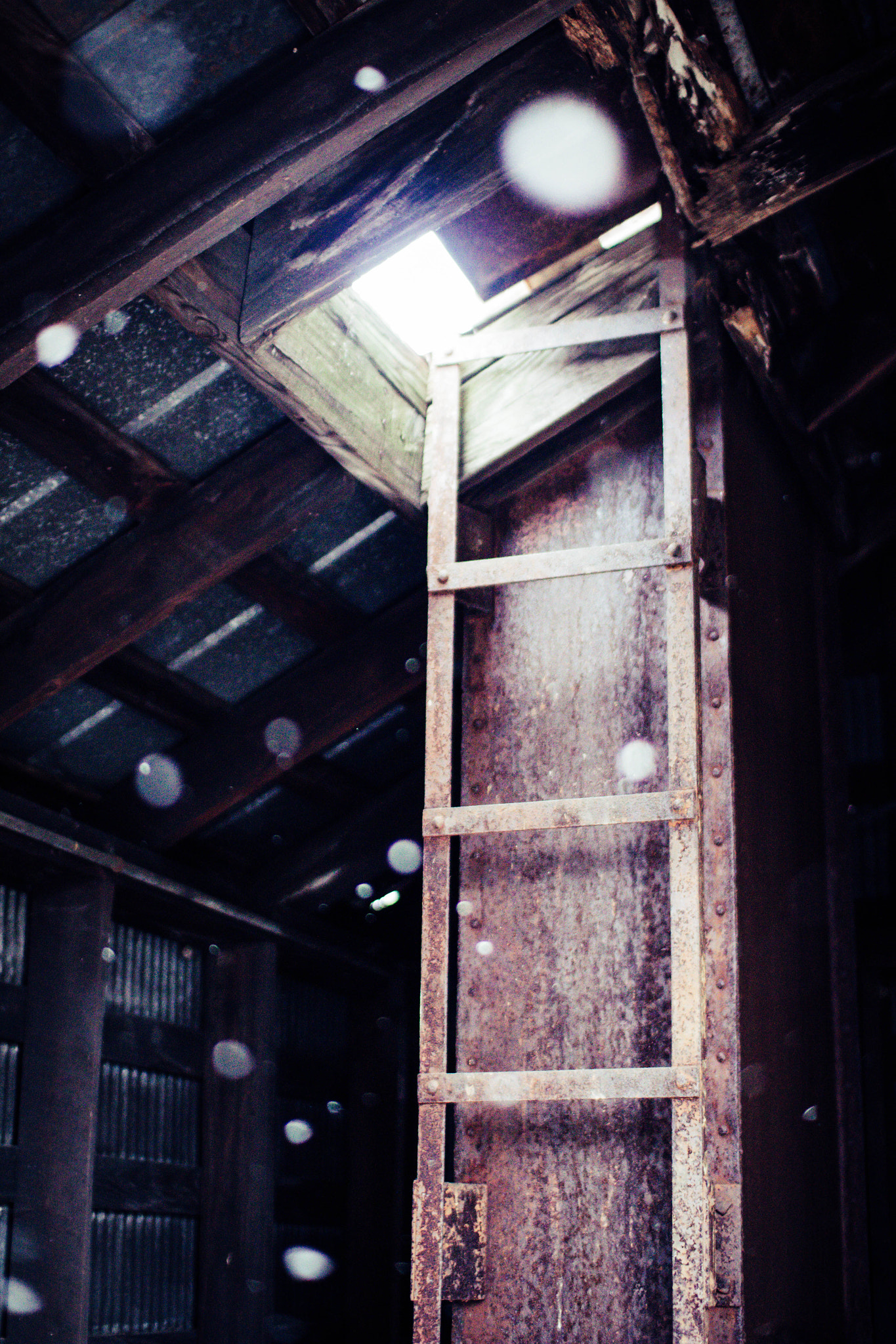 Sigma 30mm F1.4 EX DC HSM sample photo. Mill photography