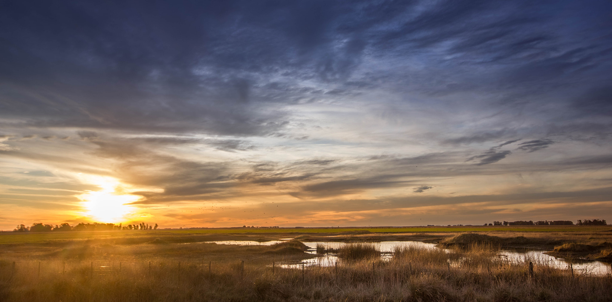 Sigma 10-20mm F4-5.6 EX DC HSM sample photo. Pampa photography