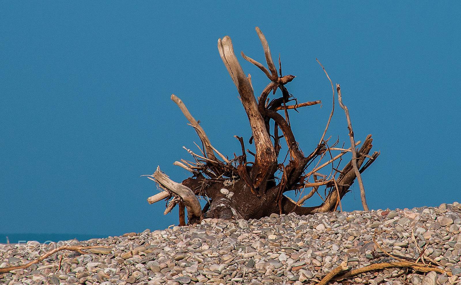 Nikon D300 + Sigma 18-200mm F3.5-6.3 DC sample photo. All washed up ii photography