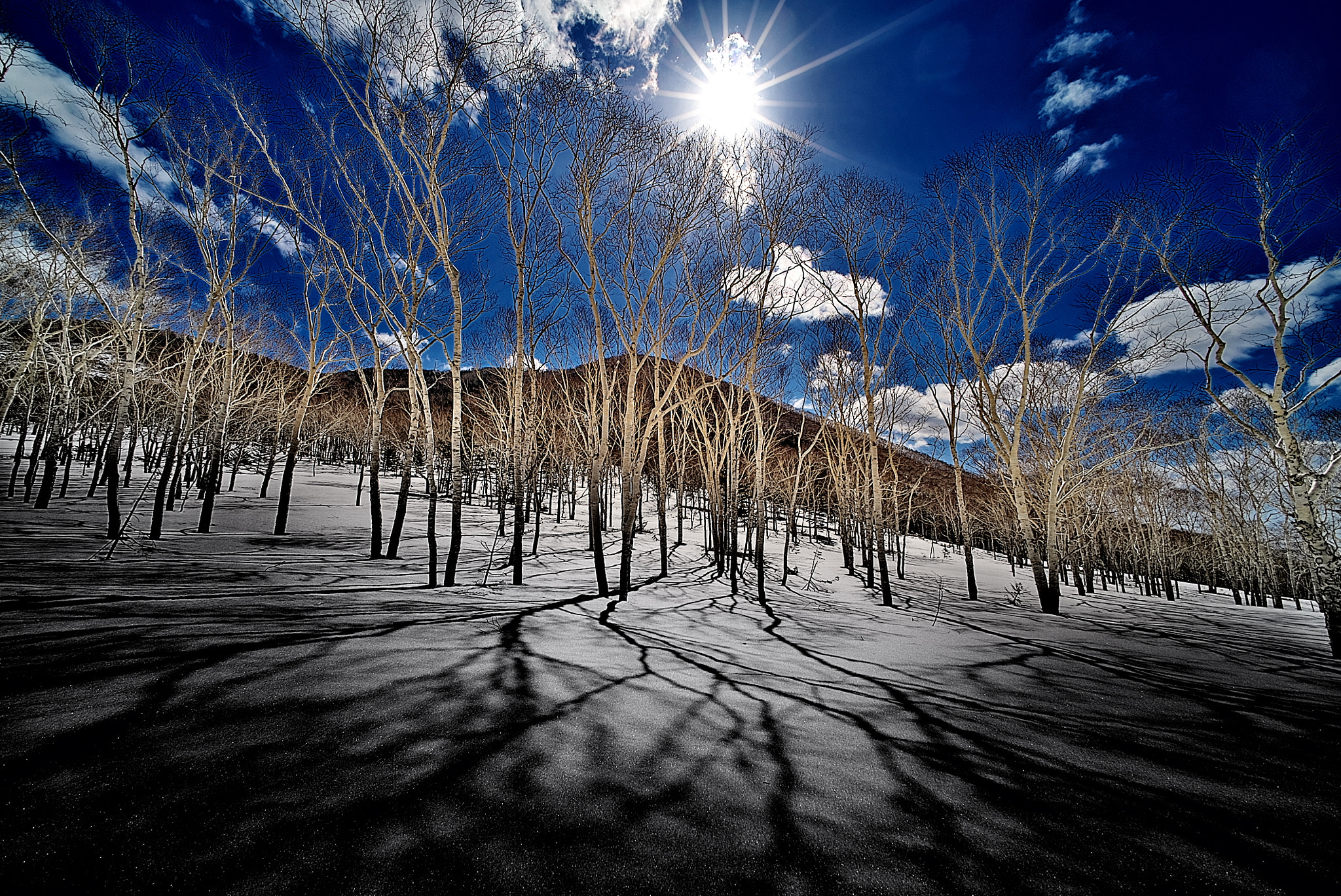 Sony a7S sample photo. Winter hideaway 2 photography