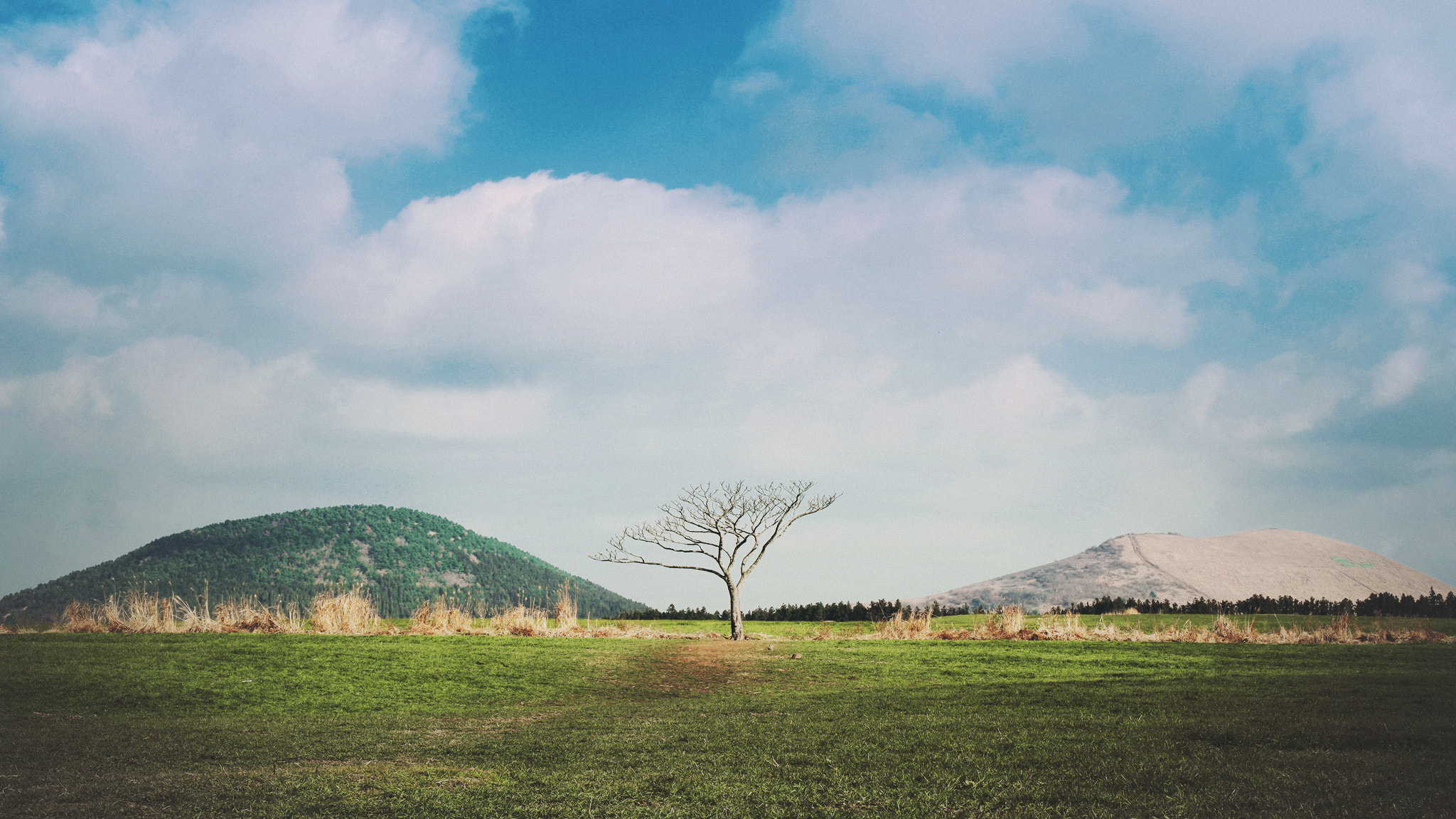 Samsung NX500 + NX 18-55mm F3.5-5.6 sample photo. Beautiful jeju photography