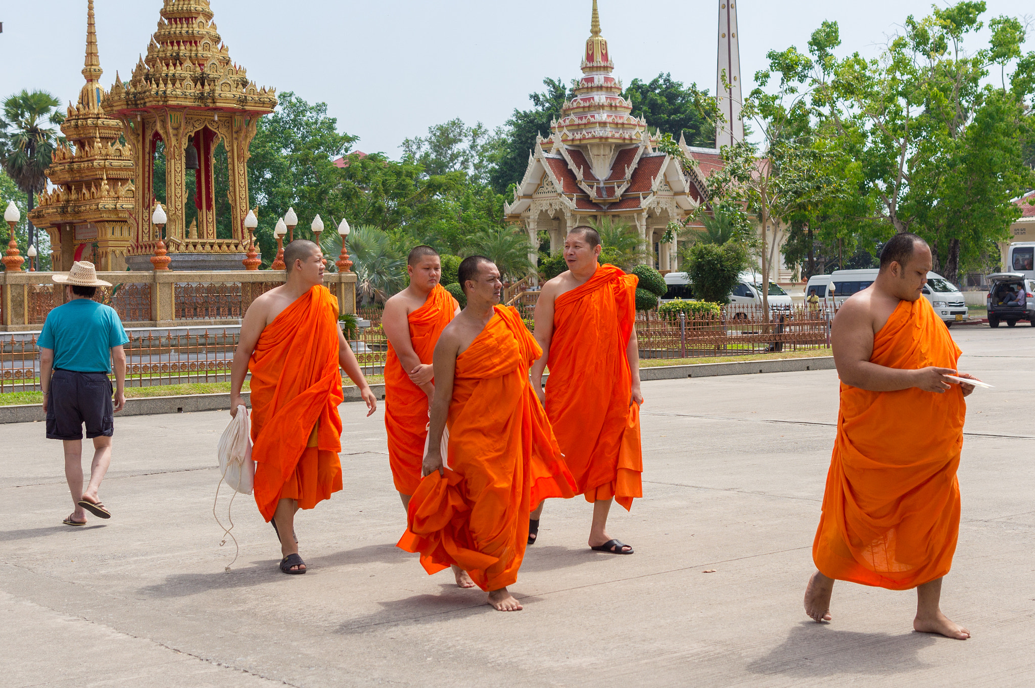 Sony SLT-A55 (SLT-A55V) sample photo. Monks photography