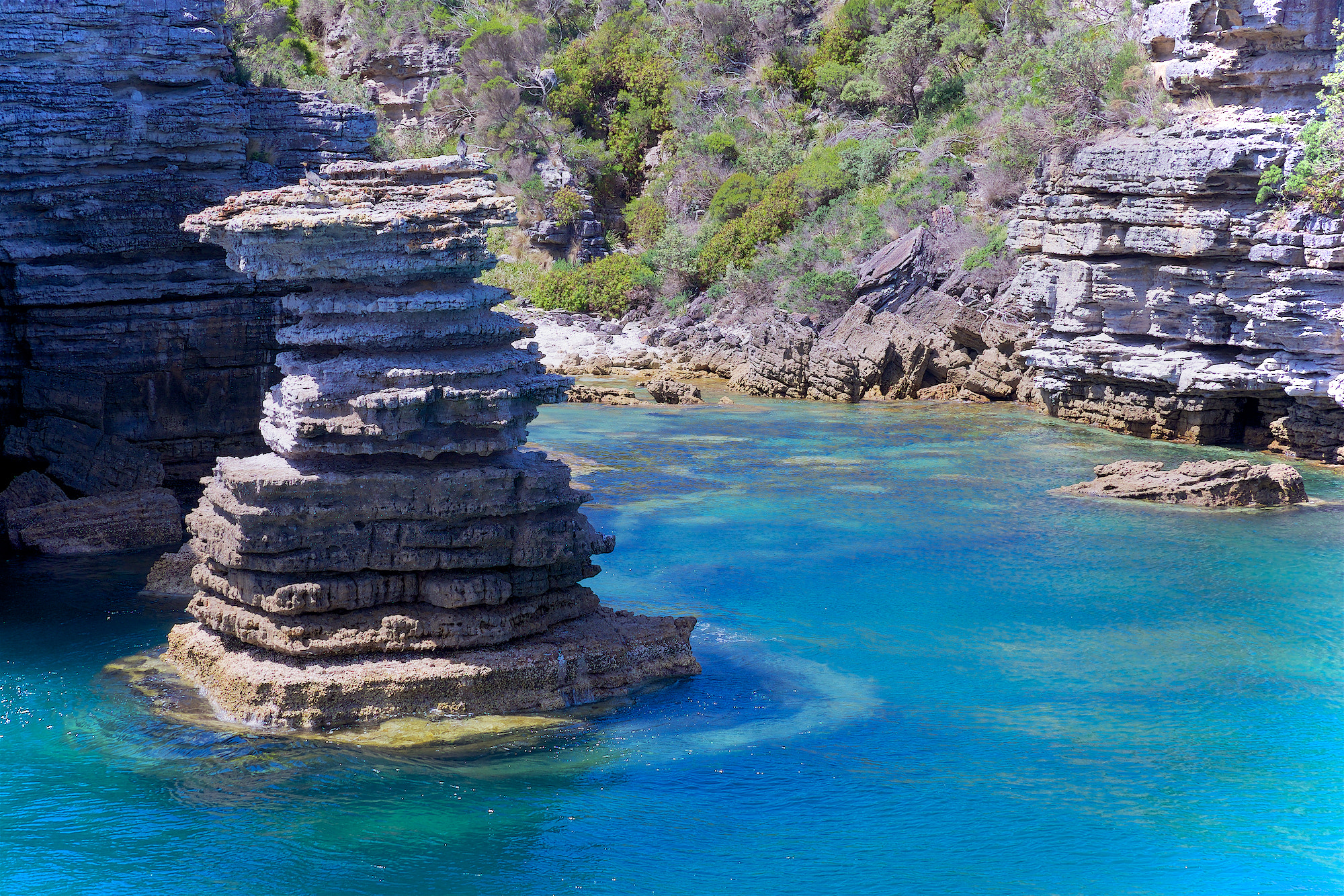 Fujifilm X-E2 + Fujifilm XC 50-230mm F4.5-6.7 OIS II sample photo. Jervis bay, australia, summer photography