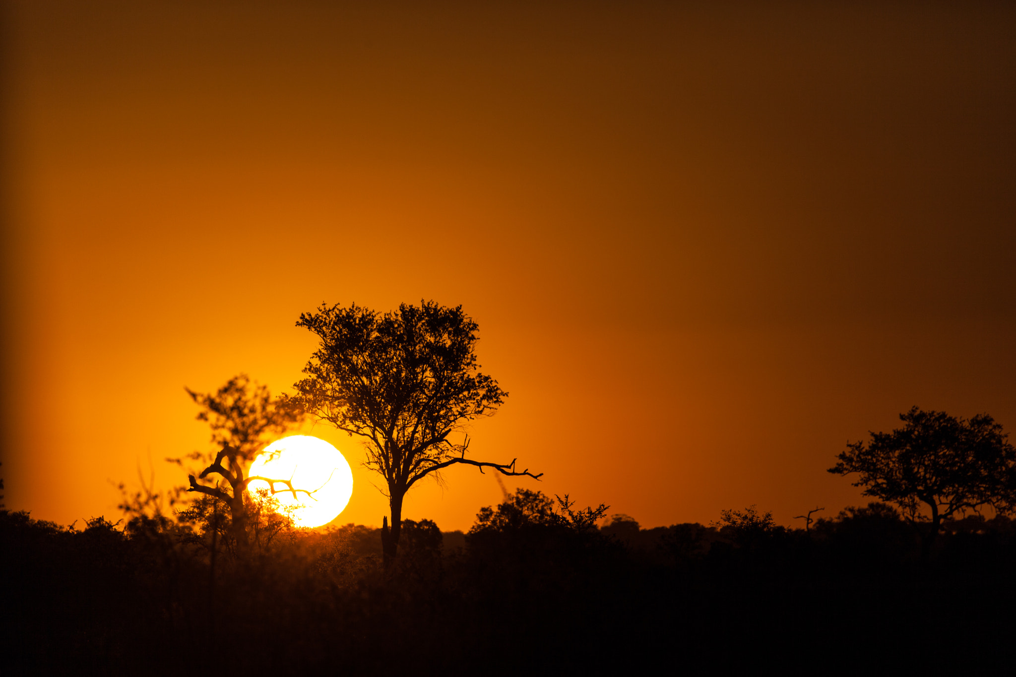 Canon EOS 5D Mark II sample photo. African sunset photography