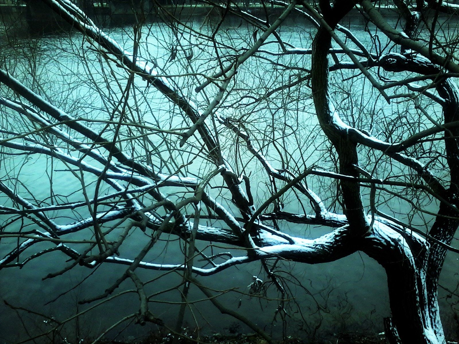 Samsung Galaxy Star sample photo. Winter river photography