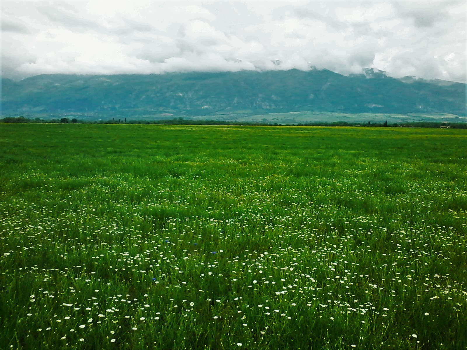 Samsung Galaxy Star sample photo. Beautiful nature in bulgaria! photography