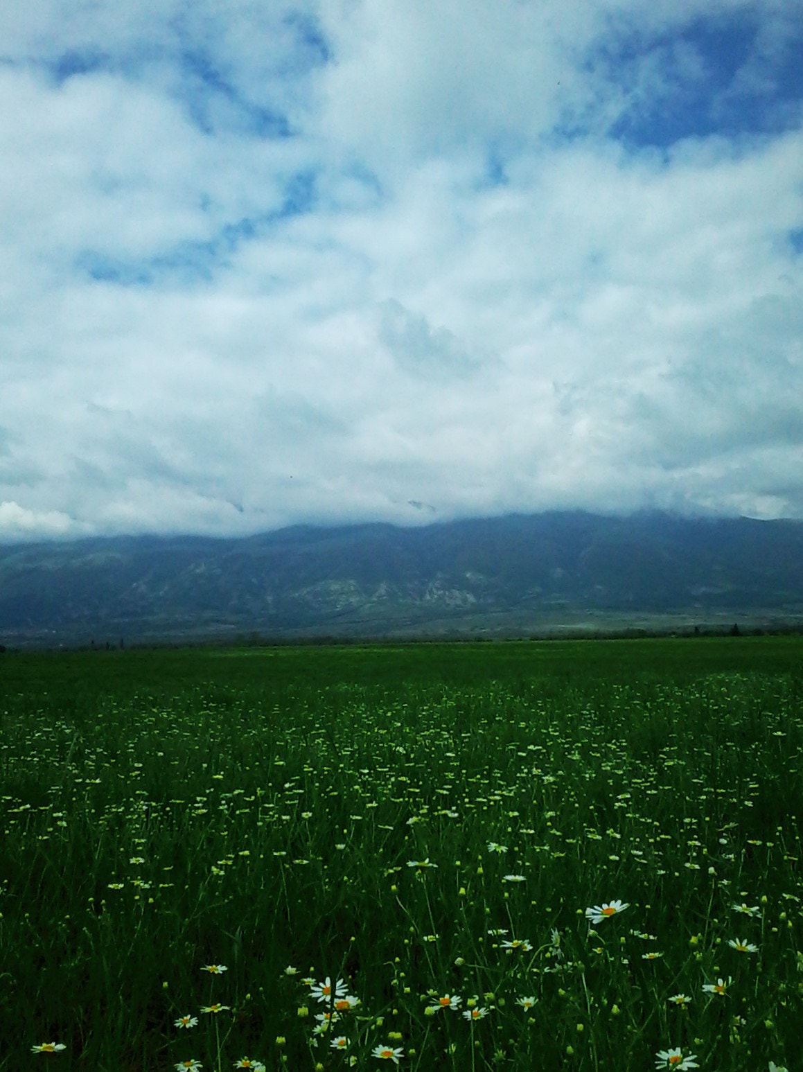 Samsung Galaxy Star sample photo. Beautiful nature in bulgaria! photography