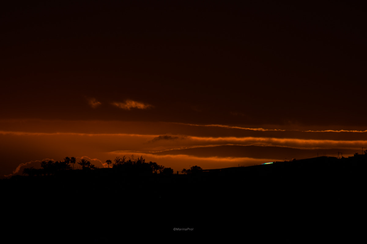 Sigma 150-600mm F5-6.3 DG OS HSM | S sample photo. Coloured flash photography