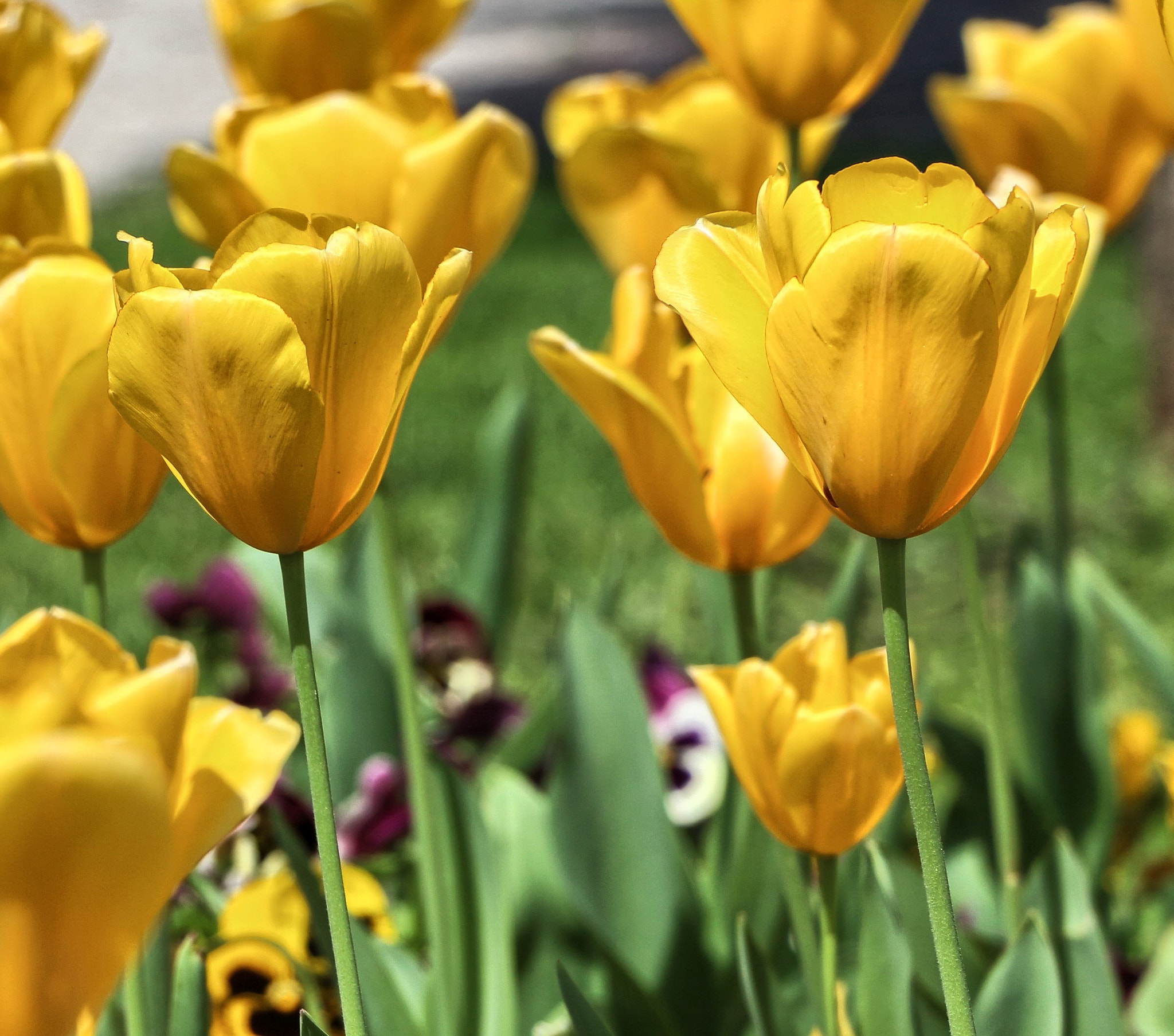 18.0 - 135.0 mm sample photo. Absorbing sunlight photography