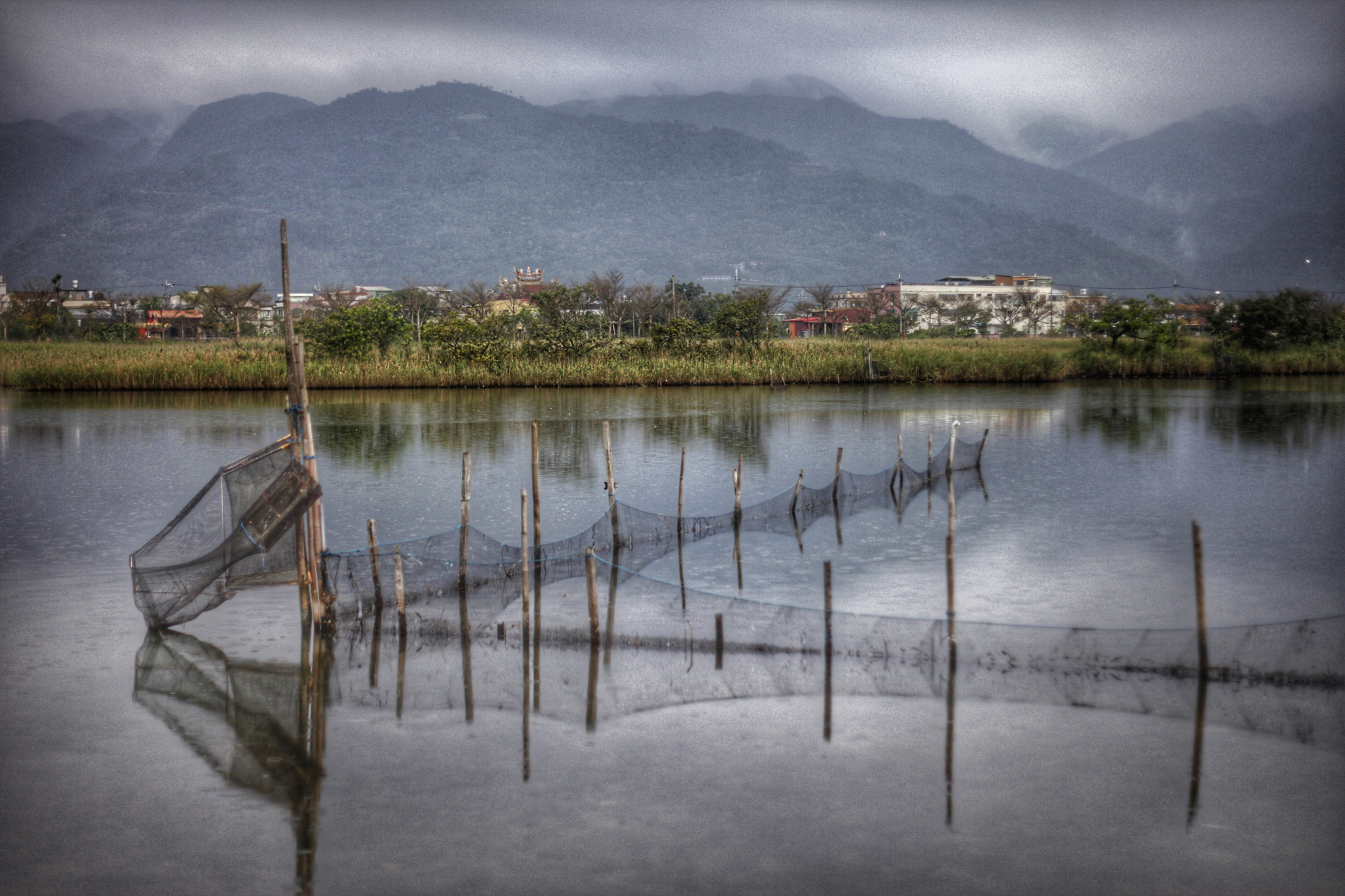 Canon 50mm sample photo