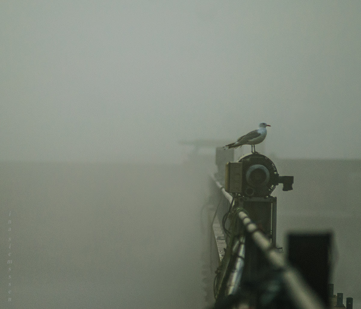 AF Zoom-Nikkor 80-200mm f/2.8 ED sample photo. Foggy view photography