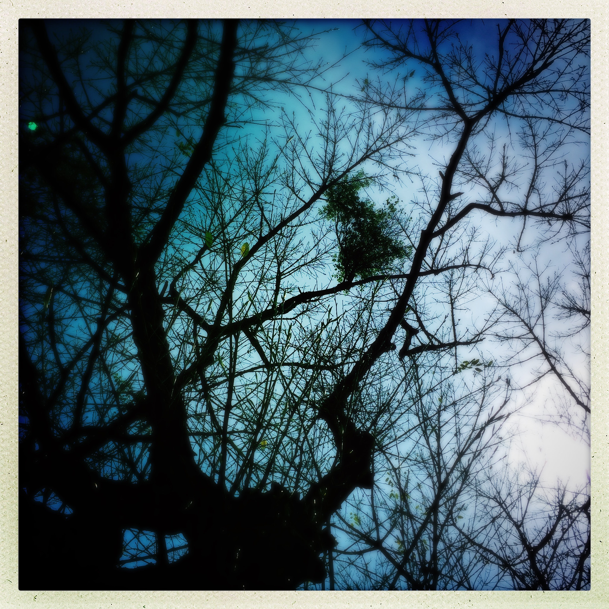 Hipstamatic 312 sample photo