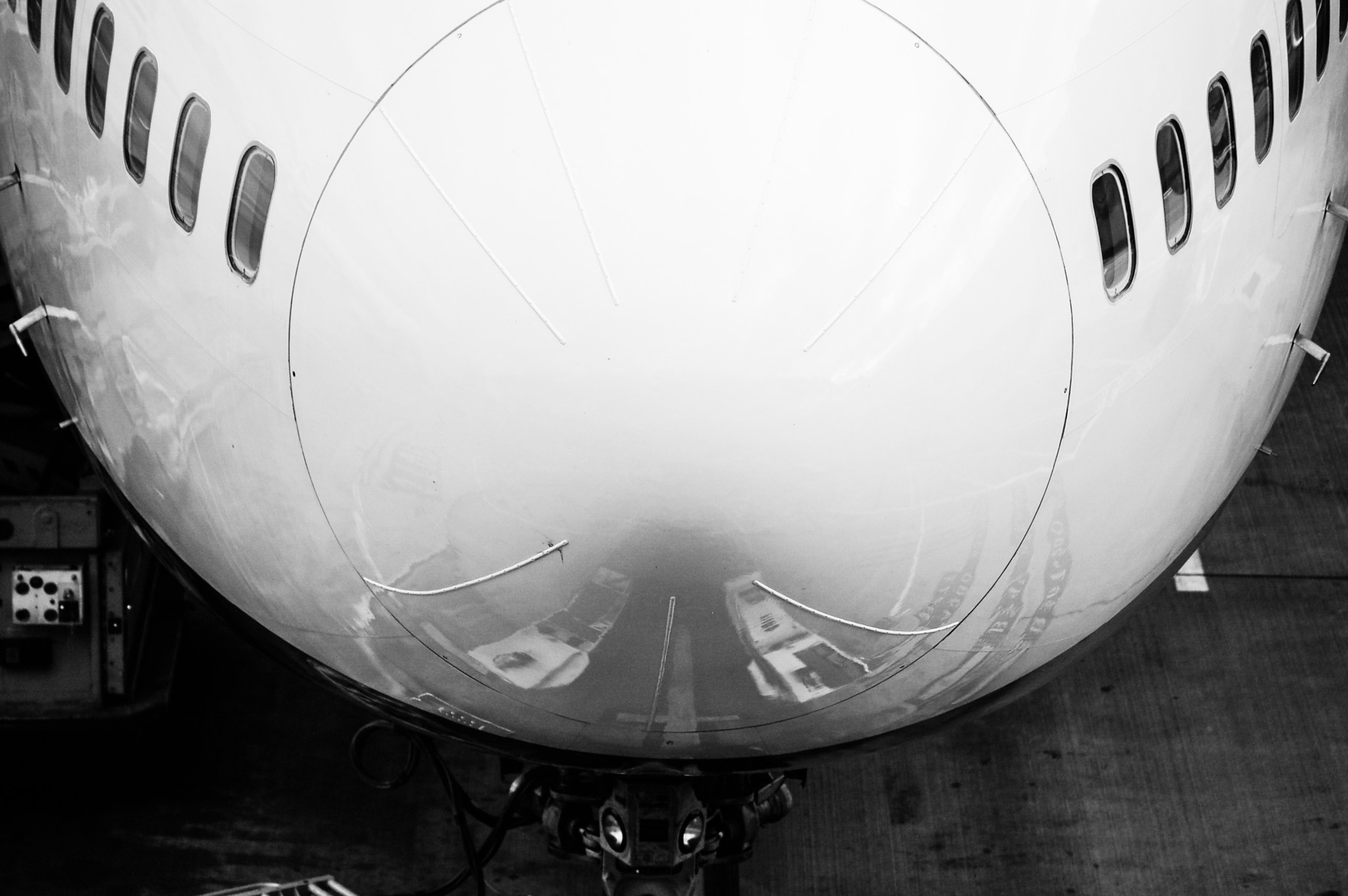 Nikon D50 sample photo. Who nose? photography