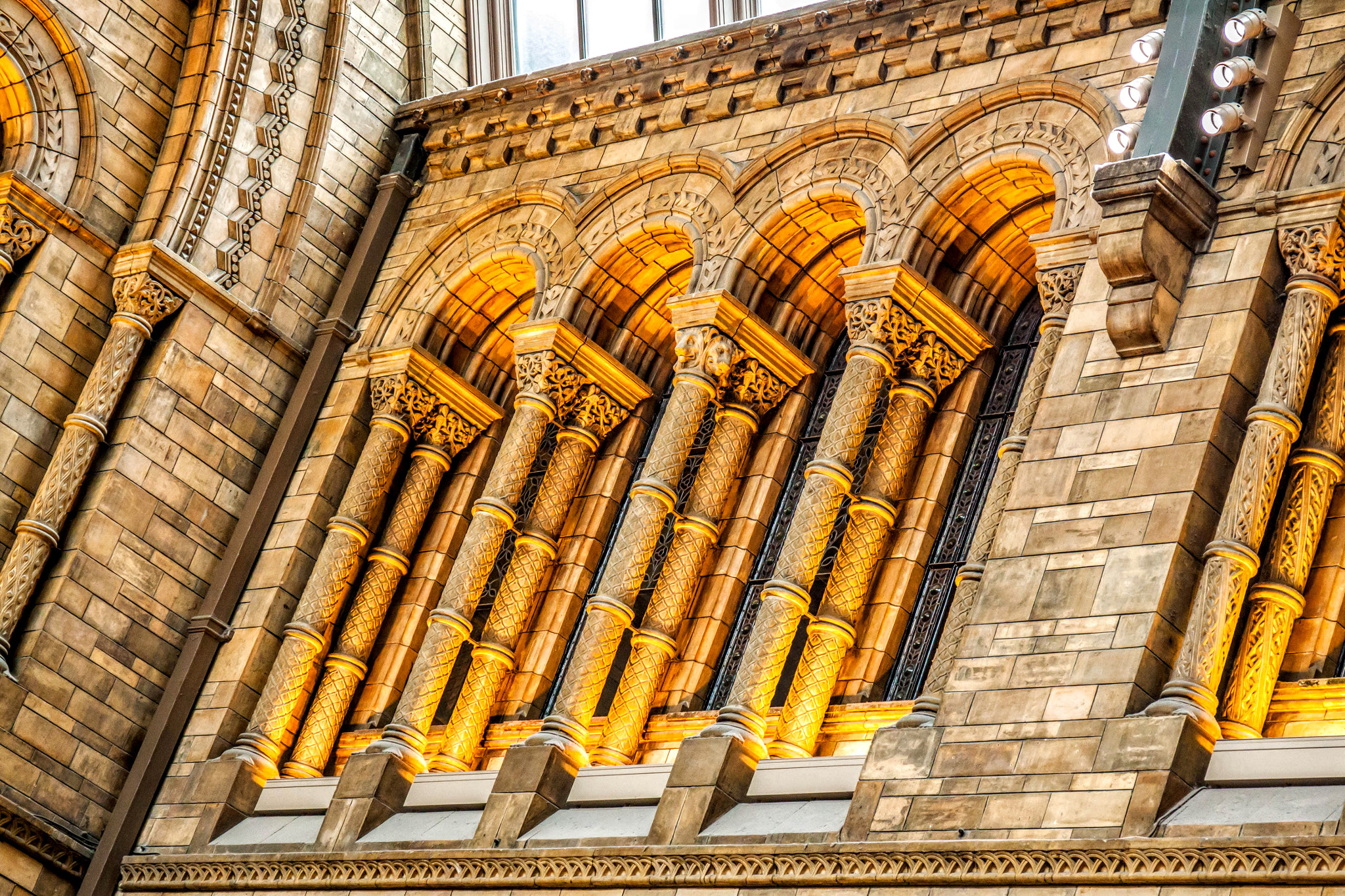 Canon EF 24-70mm F4L IS USM sample photo. Natural history museum photography