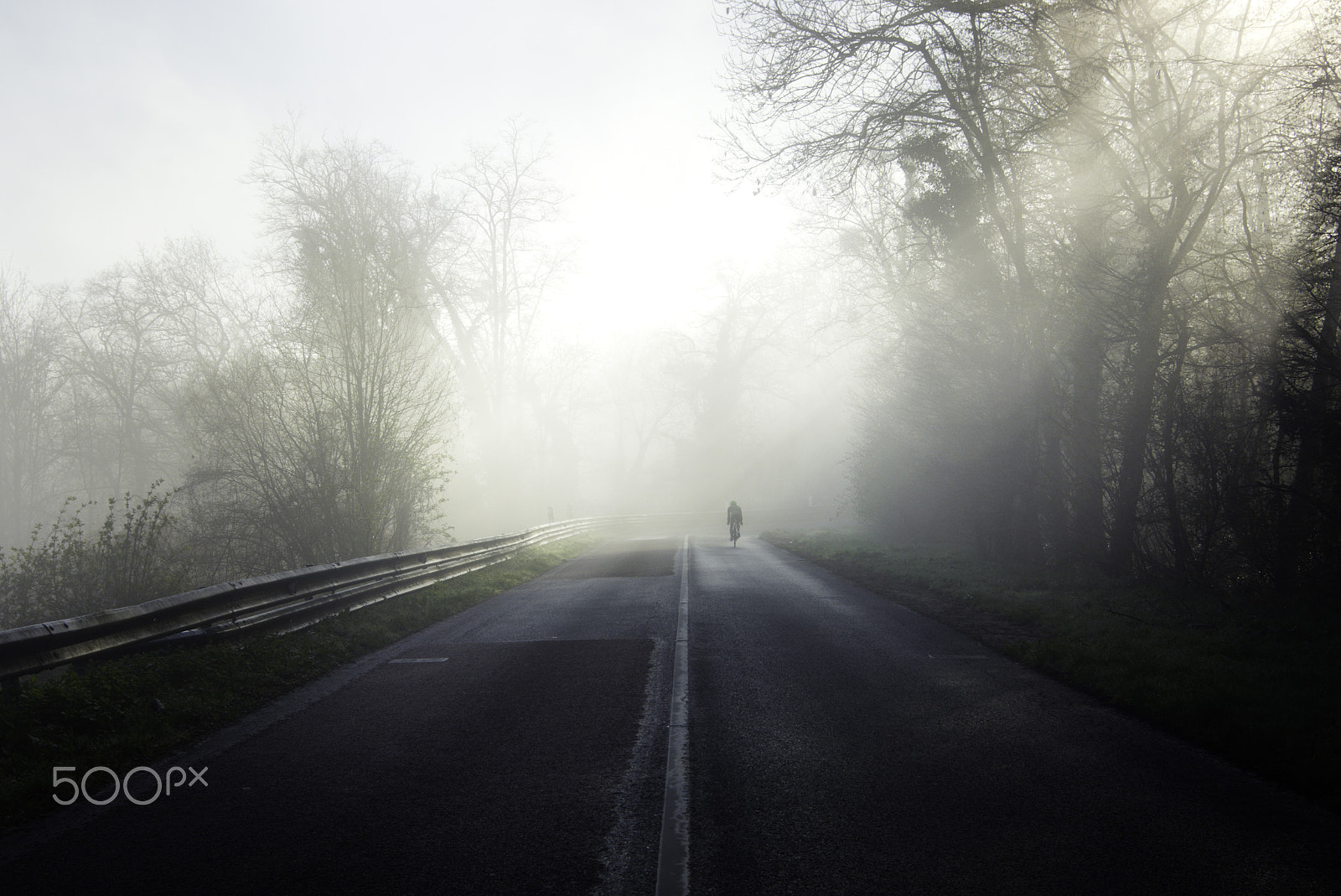 Nikon D600 sample photo. Foggy training photography