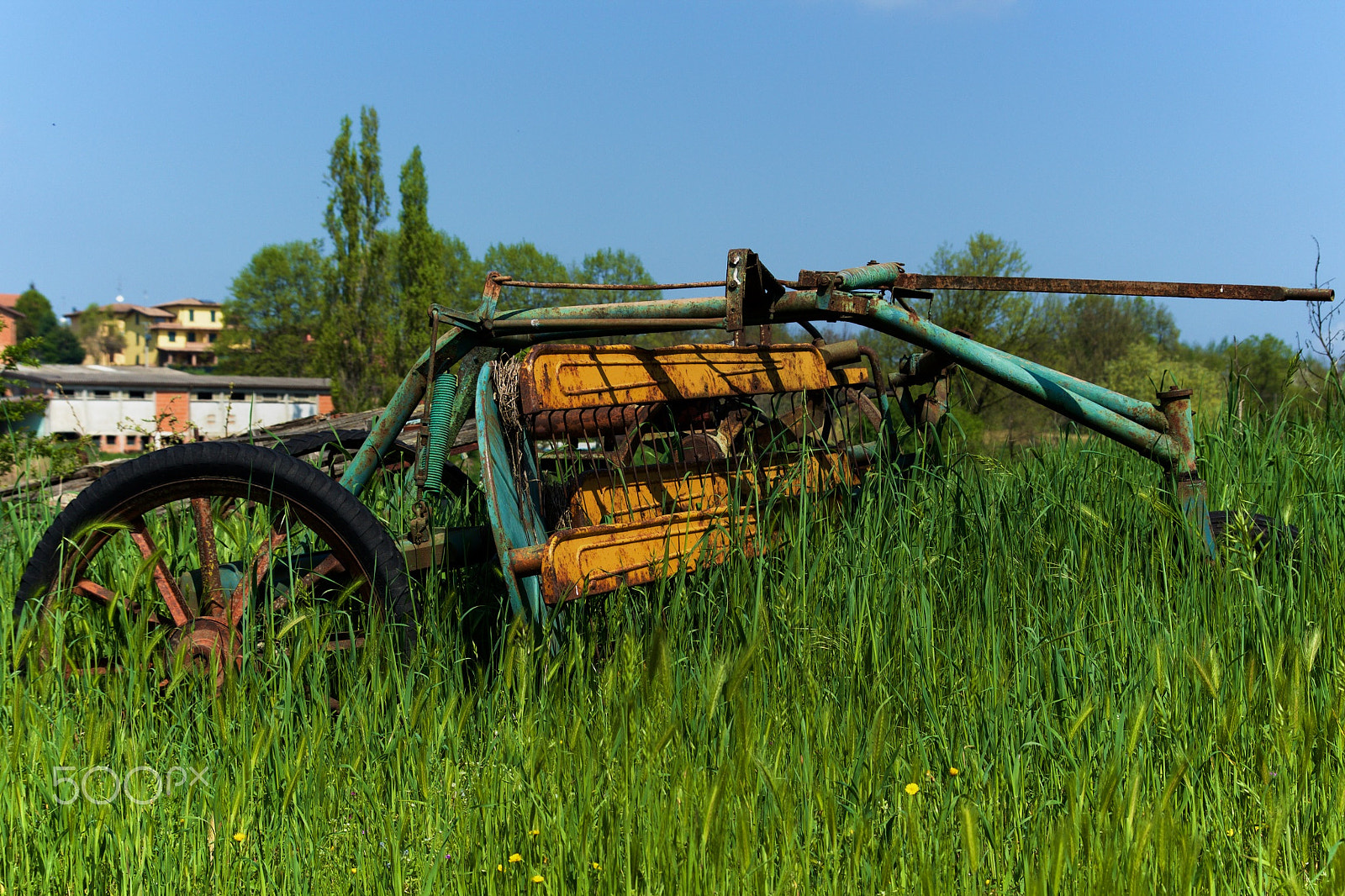 Sigma 17-70mm F2.8-4 DC Macro OS HSM sample photo. Waiting my tractor ii photography