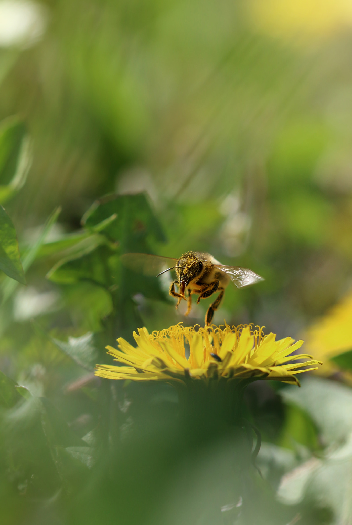 Canon EOS 70D + Canon EF 28mm F2.8 sample photo. F l i g h t photography