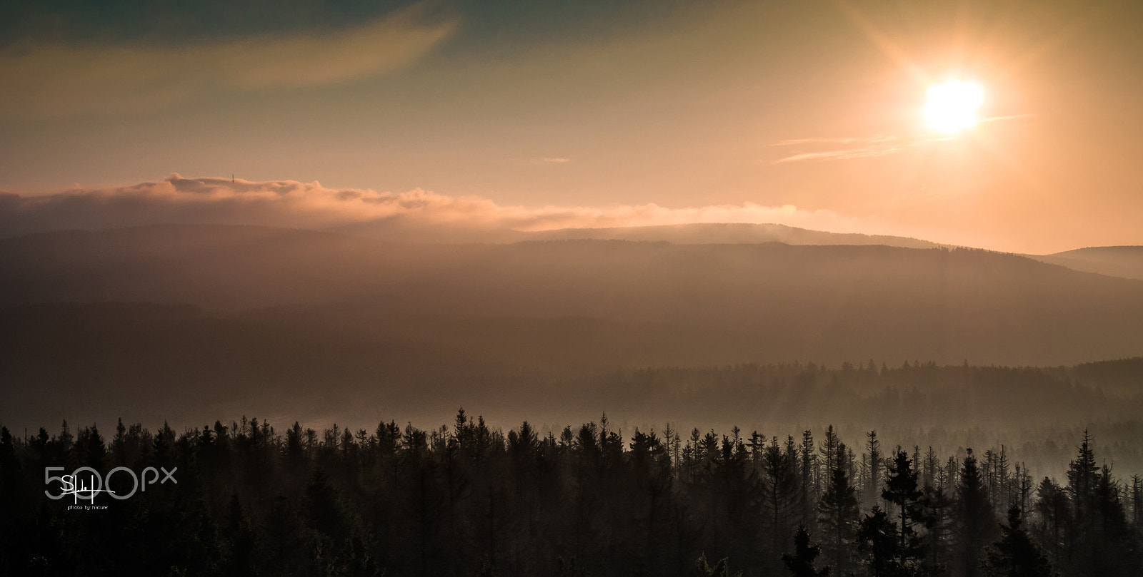 Nikon D300 + Sigma 18-50mm F2.8-4.5 DC OS HSM sample photo. The forest photography