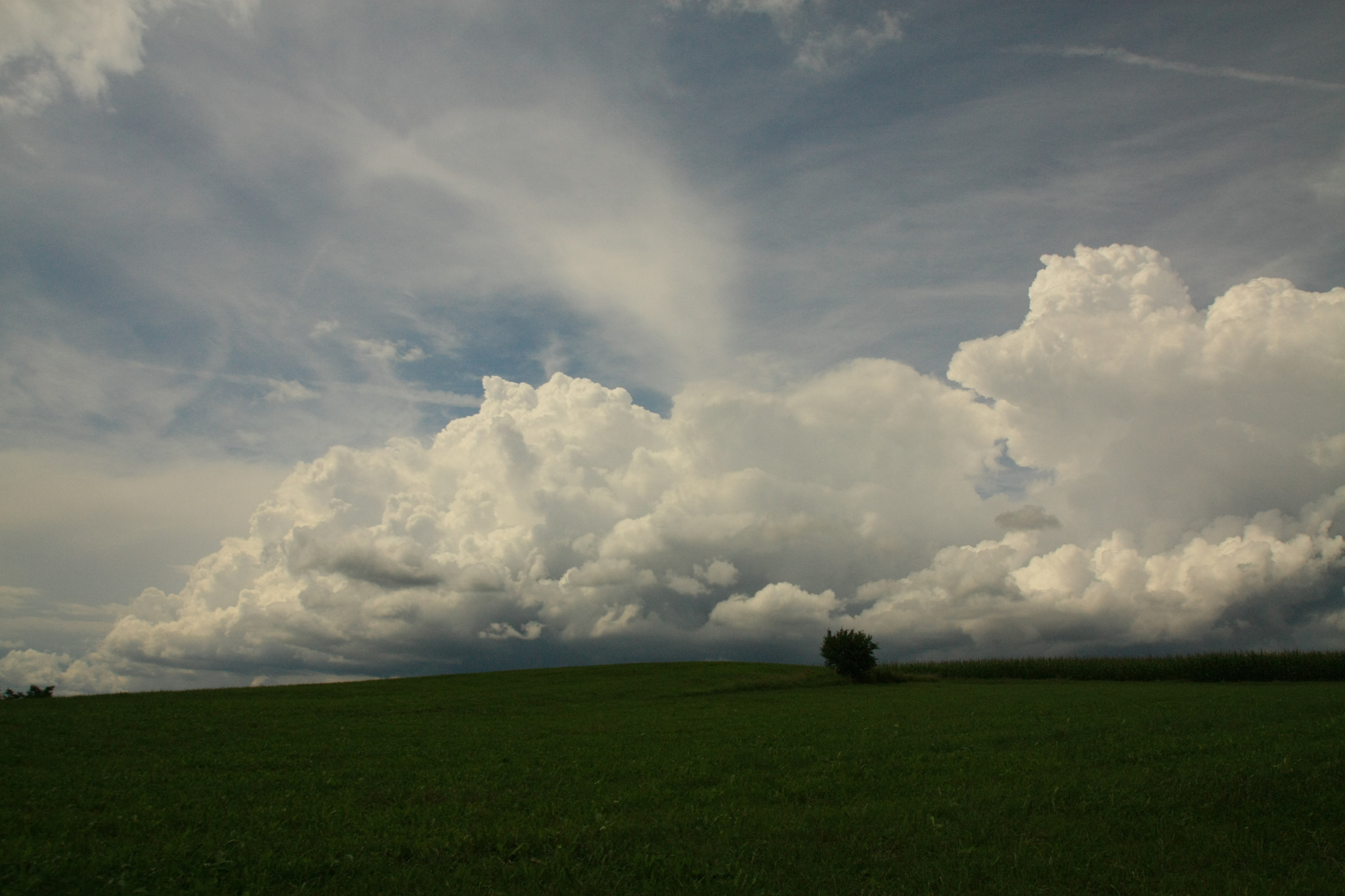 Canon EOS 450D (EOS Rebel XSi / EOS Kiss X2) sample photo. My cloud photography