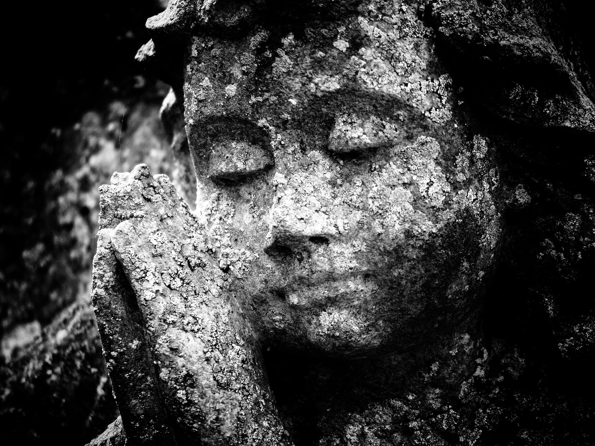 Olympus OM-D E-M5 sample photo. Forever sleeping photography