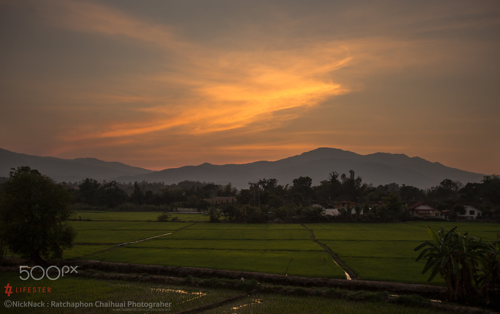 Canon EOS 6D + Canon EF 16-35mm F2.8L USM sample photo. My home photography