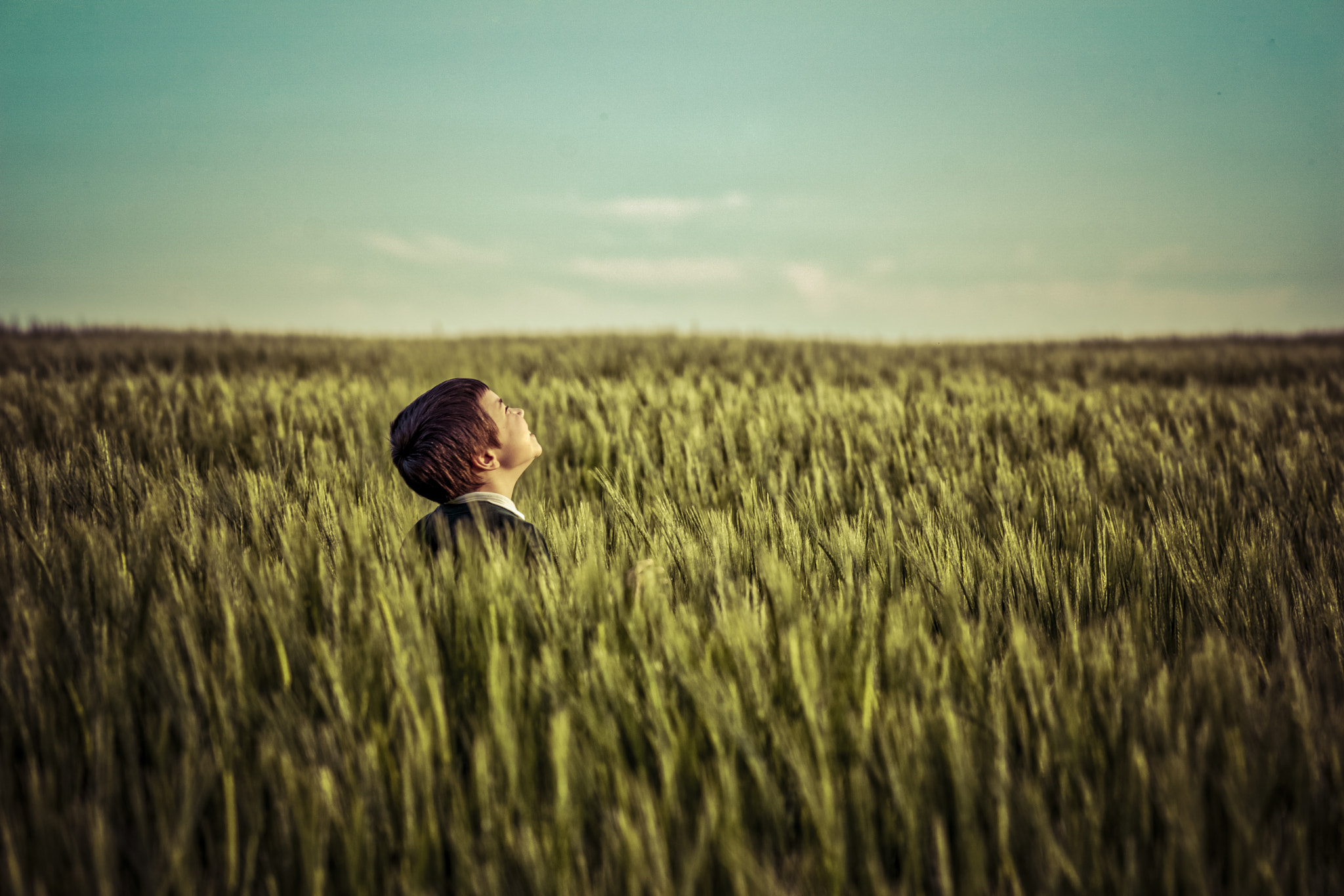 Sony Sonnar T* 135mm F1.8 ZA sample photo. Child of the corn photography