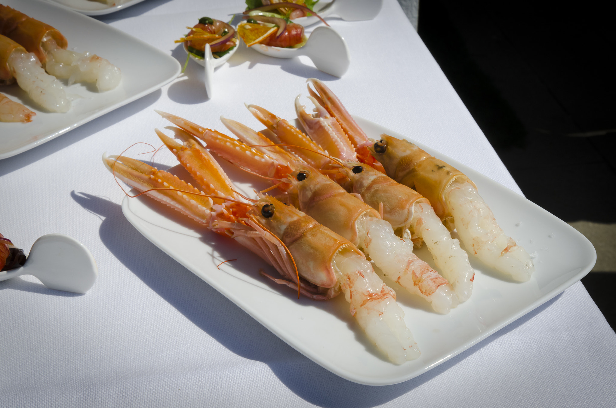 Tamron SP 24-70mm F2.8 Di VC USD sample photo. Scampi ne abbiamo.... photography