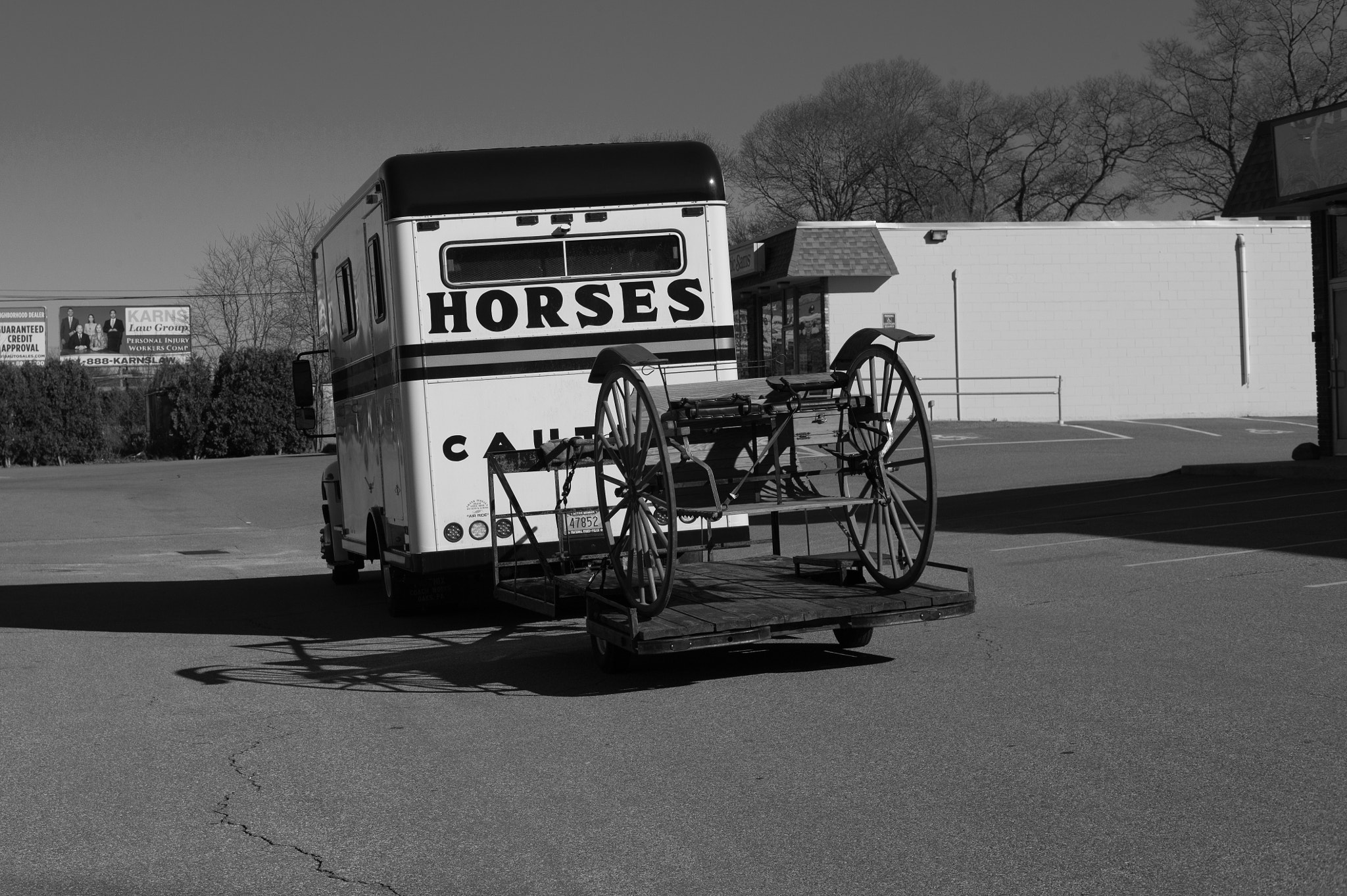 Leica M9 + Summilux-M 50mm f/1.4 (II) sample photo. Caution horses photography