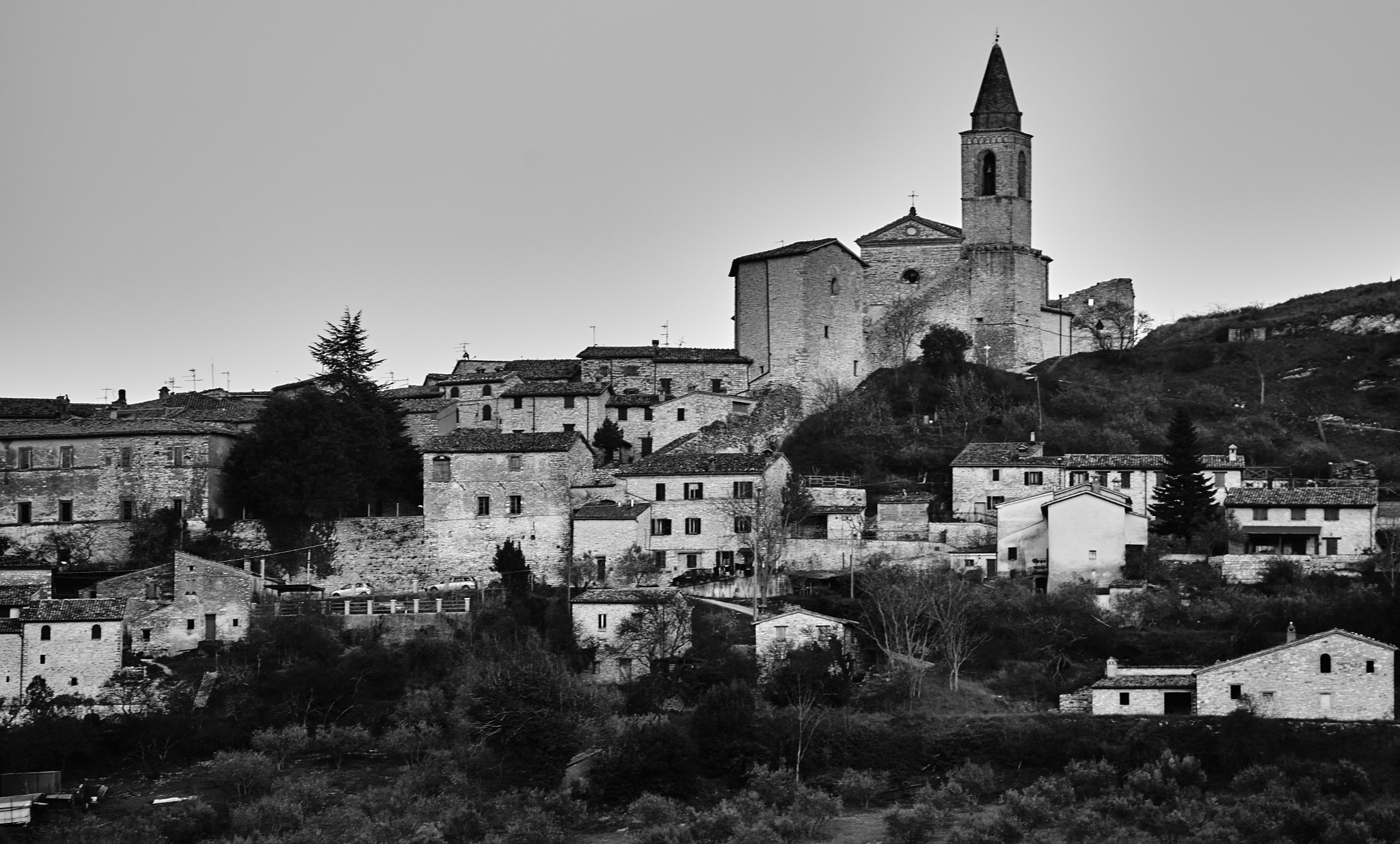 Tamron SP 70-300mm F4-5.6 Di USD sample photo. Pievefavera photography
