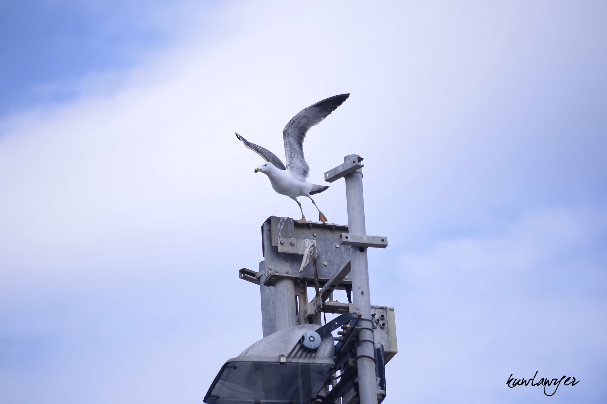 Canon EOS 6D + Canon 70-300mm sample photo. Takeoff photography